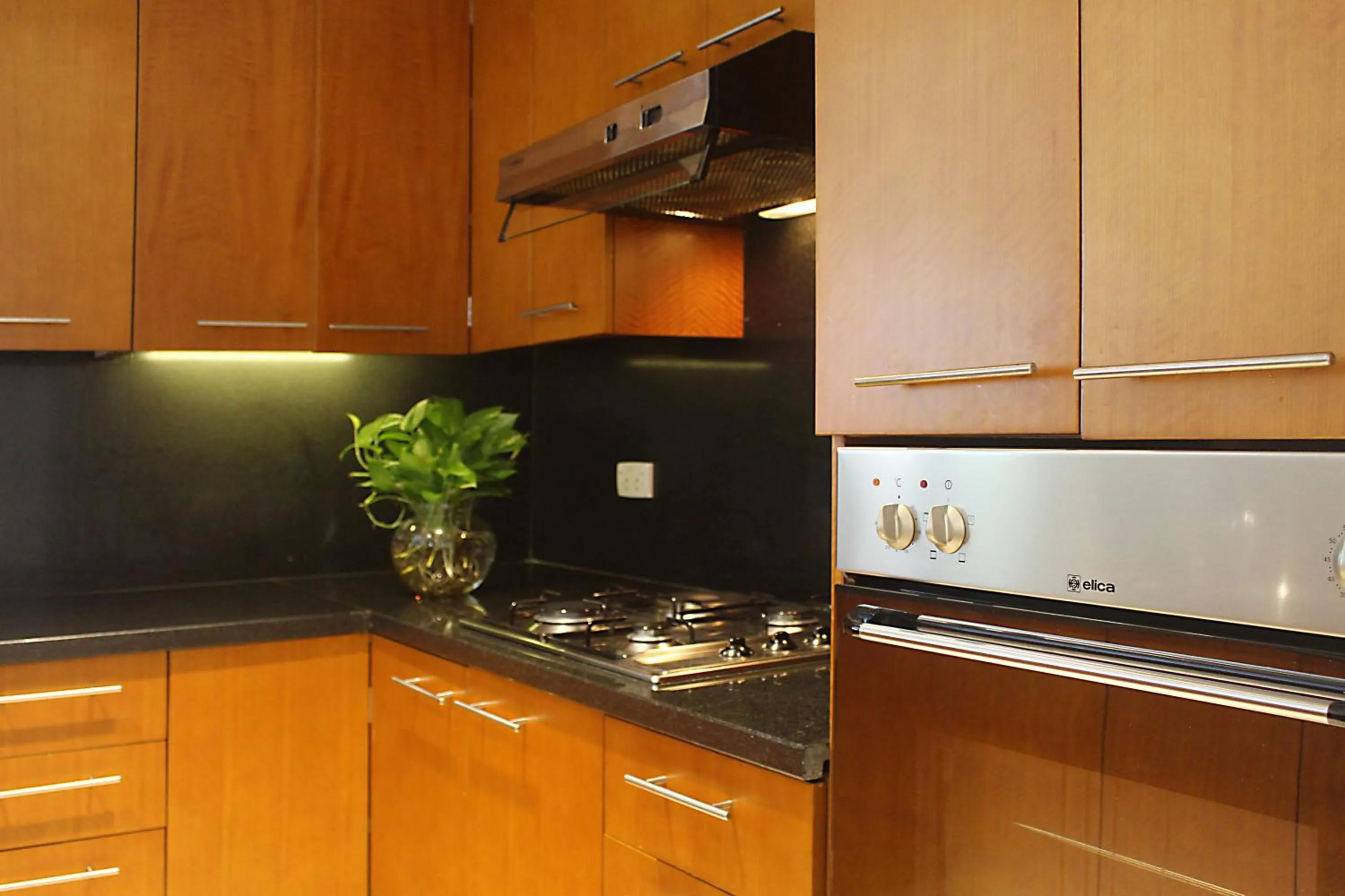 Downtown Retro Serviced Apartment