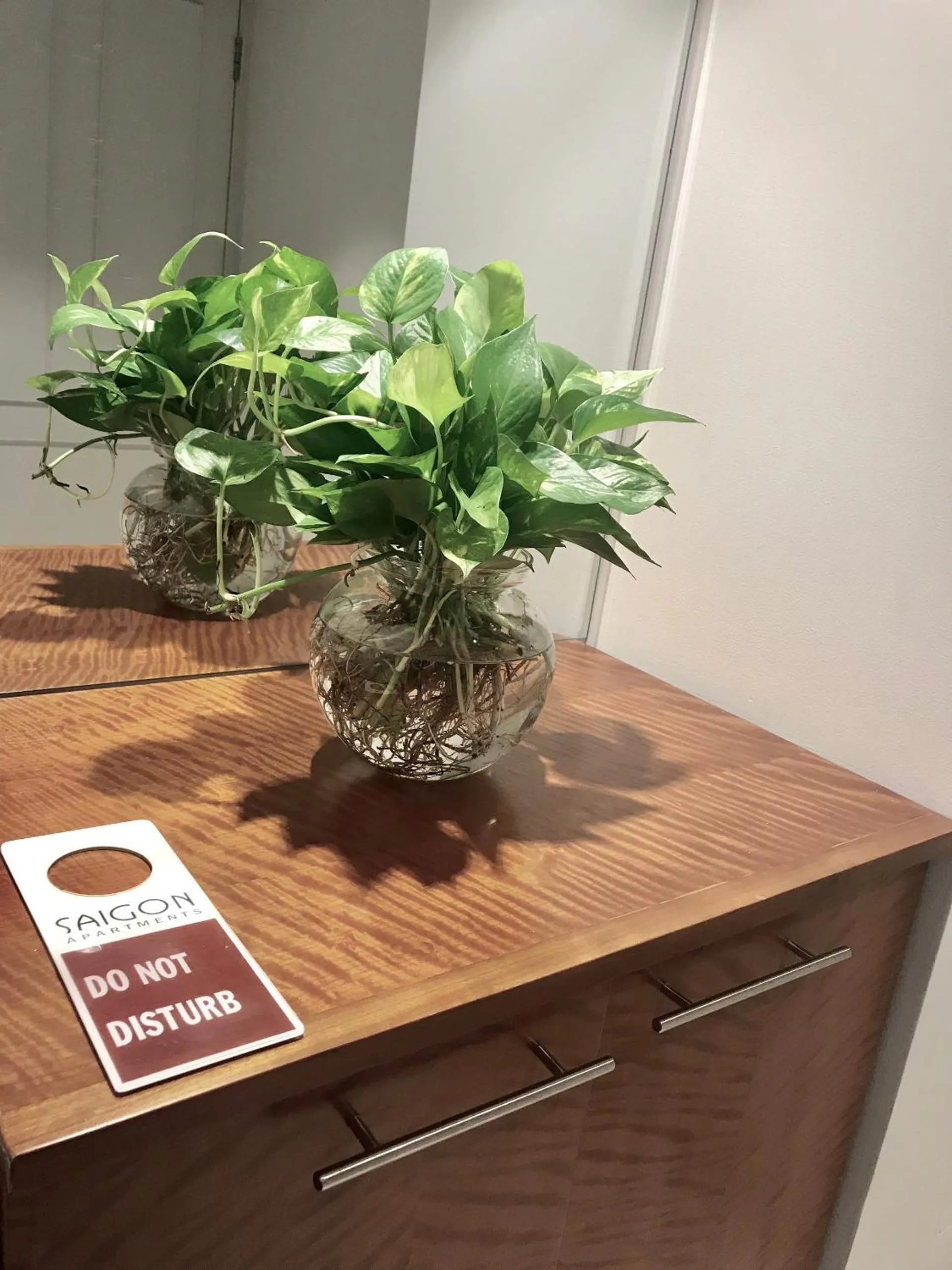 Downtown Retro Serviced Apartment