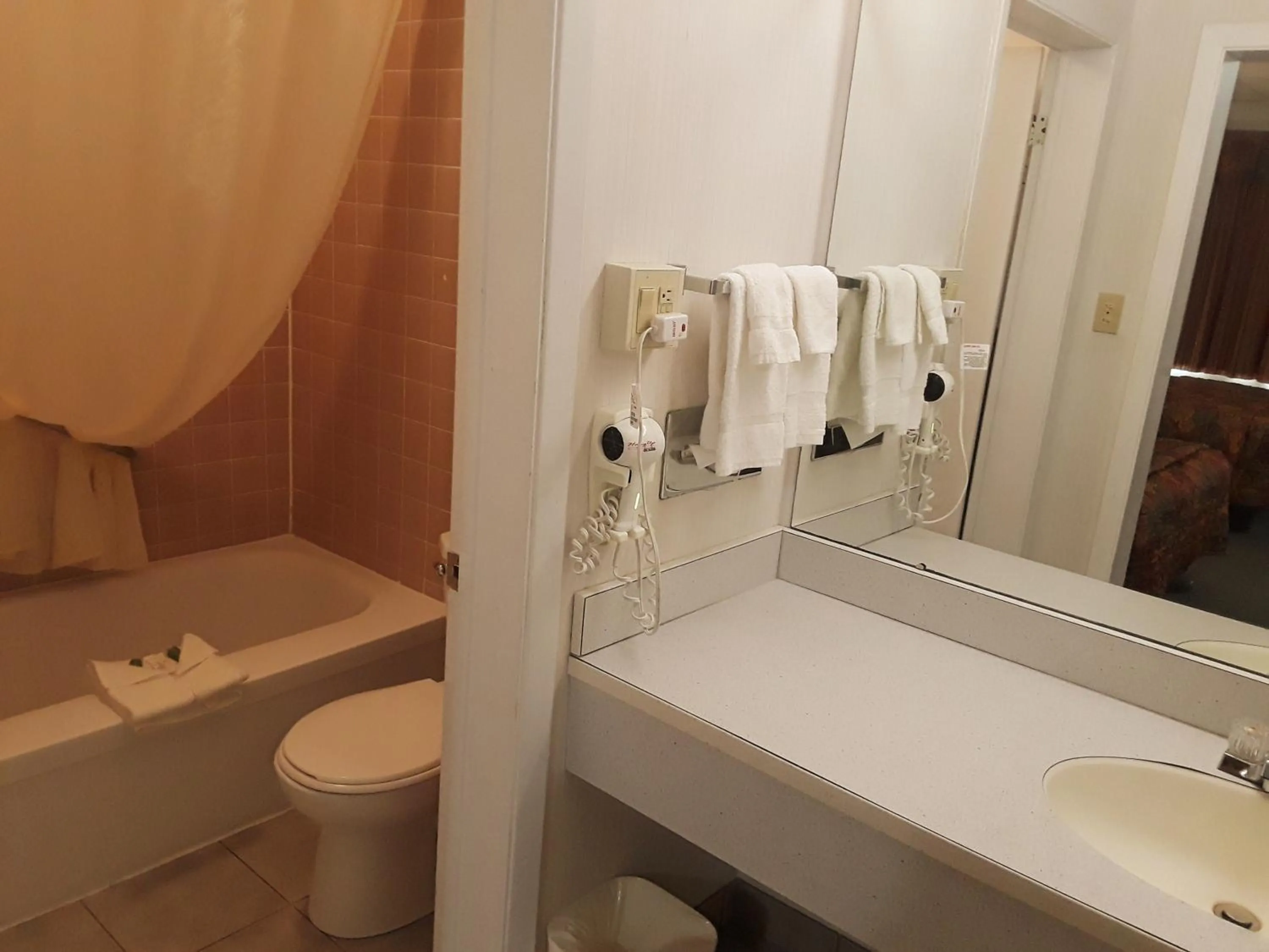 Bathroom in Canadas Best Value Inn & Suites Woodstock