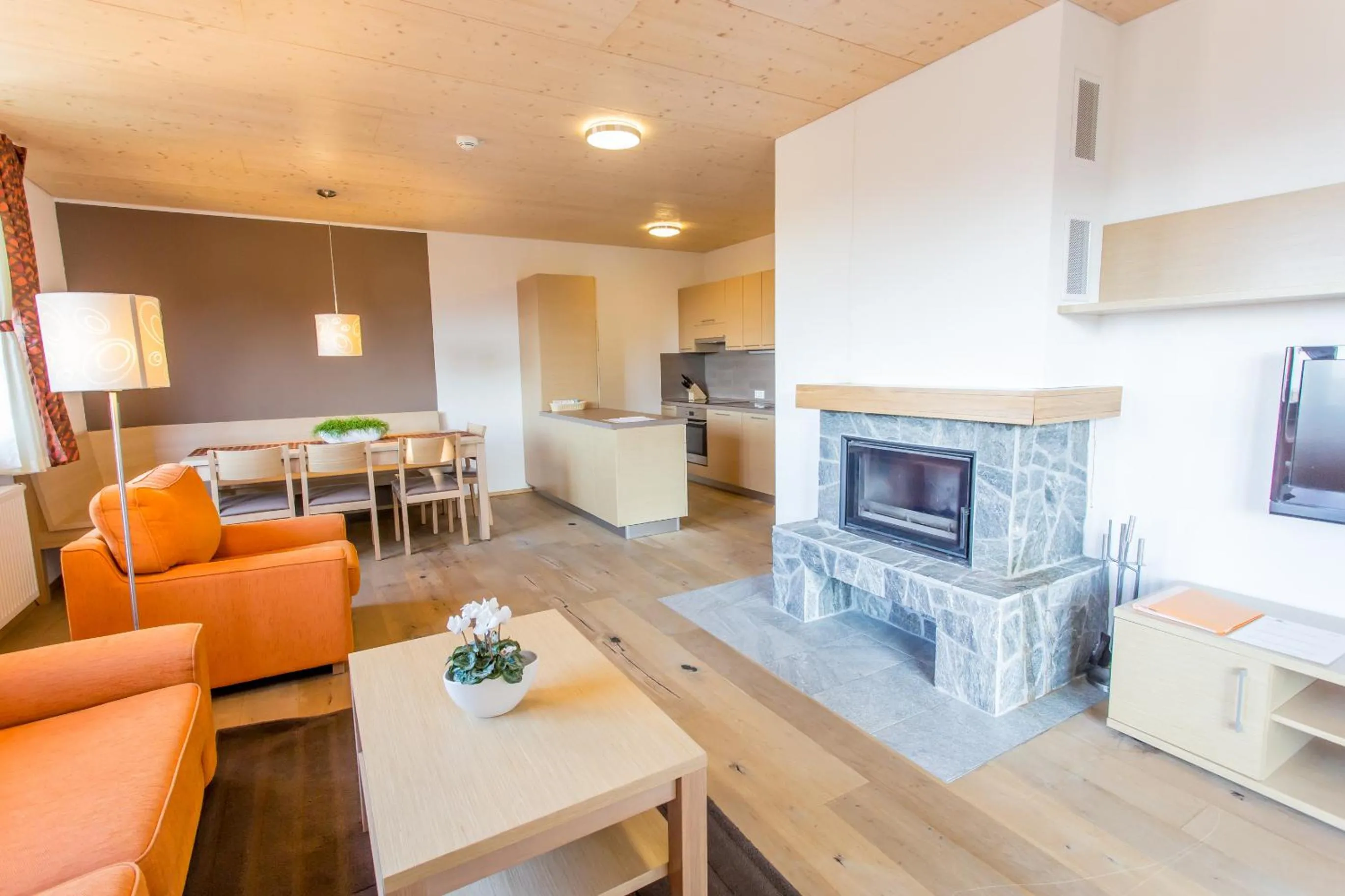 TV and multimedia in Lake Peak Apartments, Ribniško Pohorje