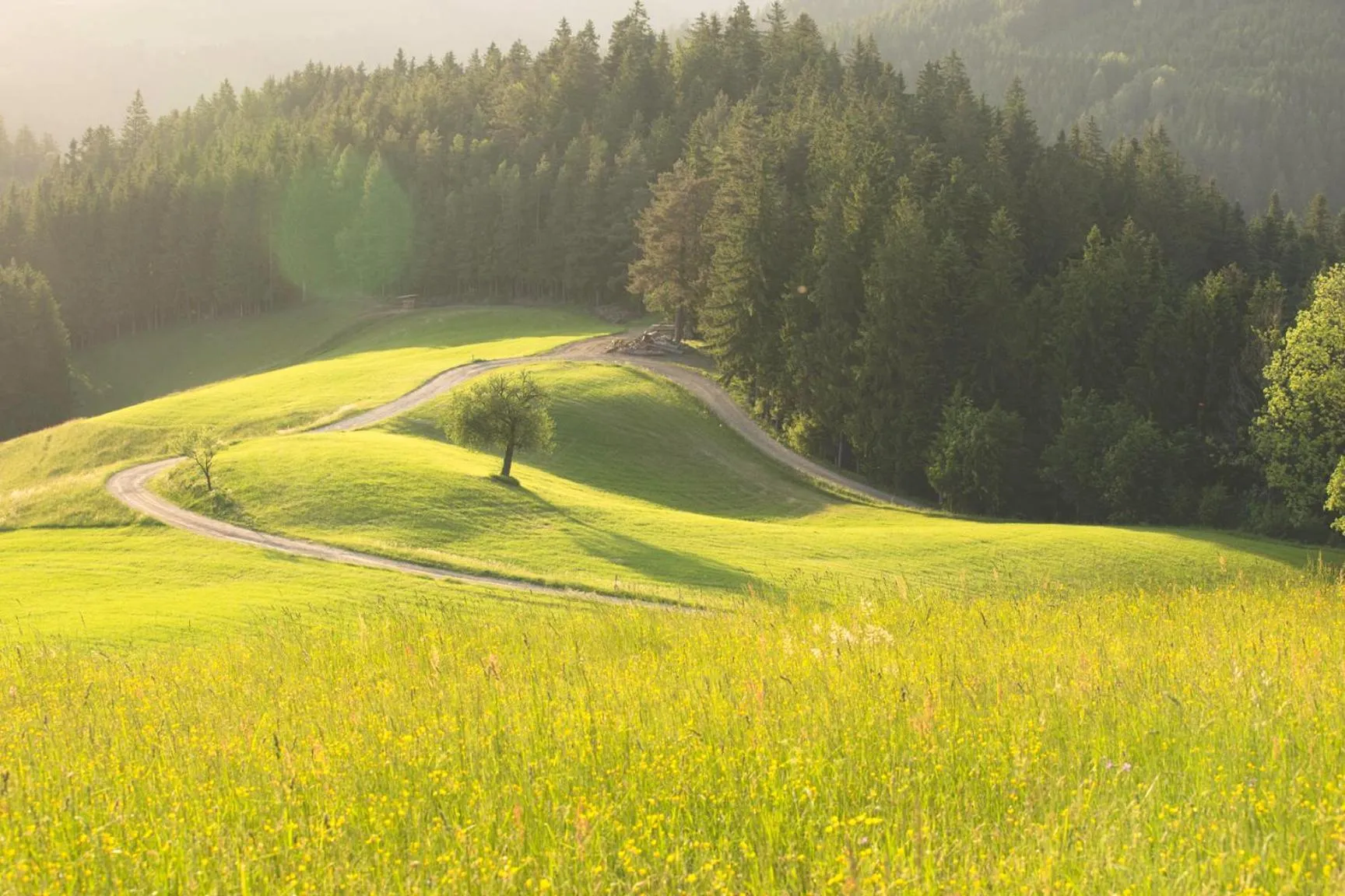Nearby landmark in Lake Peak Apartments, Ribniško Pohorje