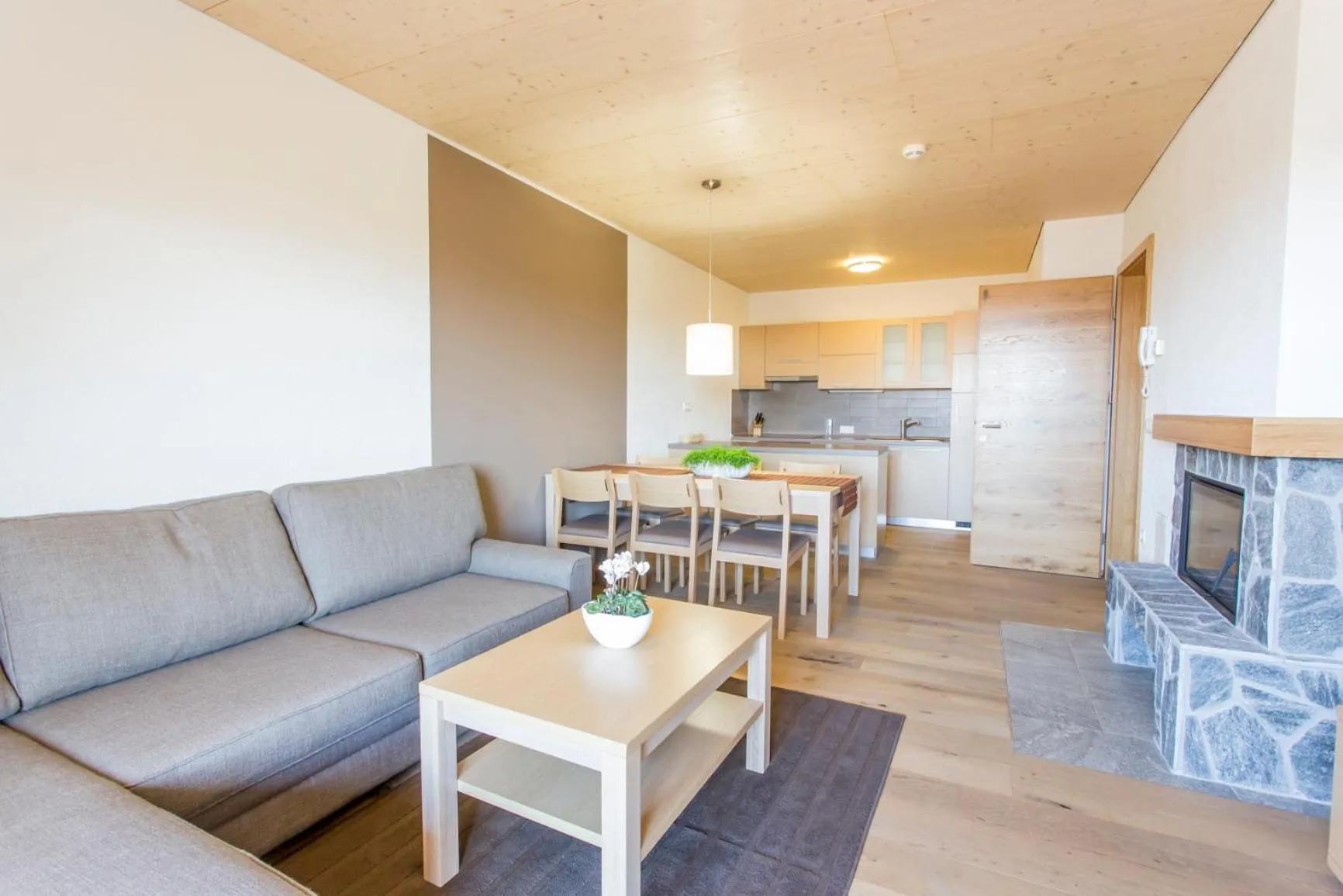Kitchen or kitchenette in Lake Peak Apartments, Ribniško Pohorje
