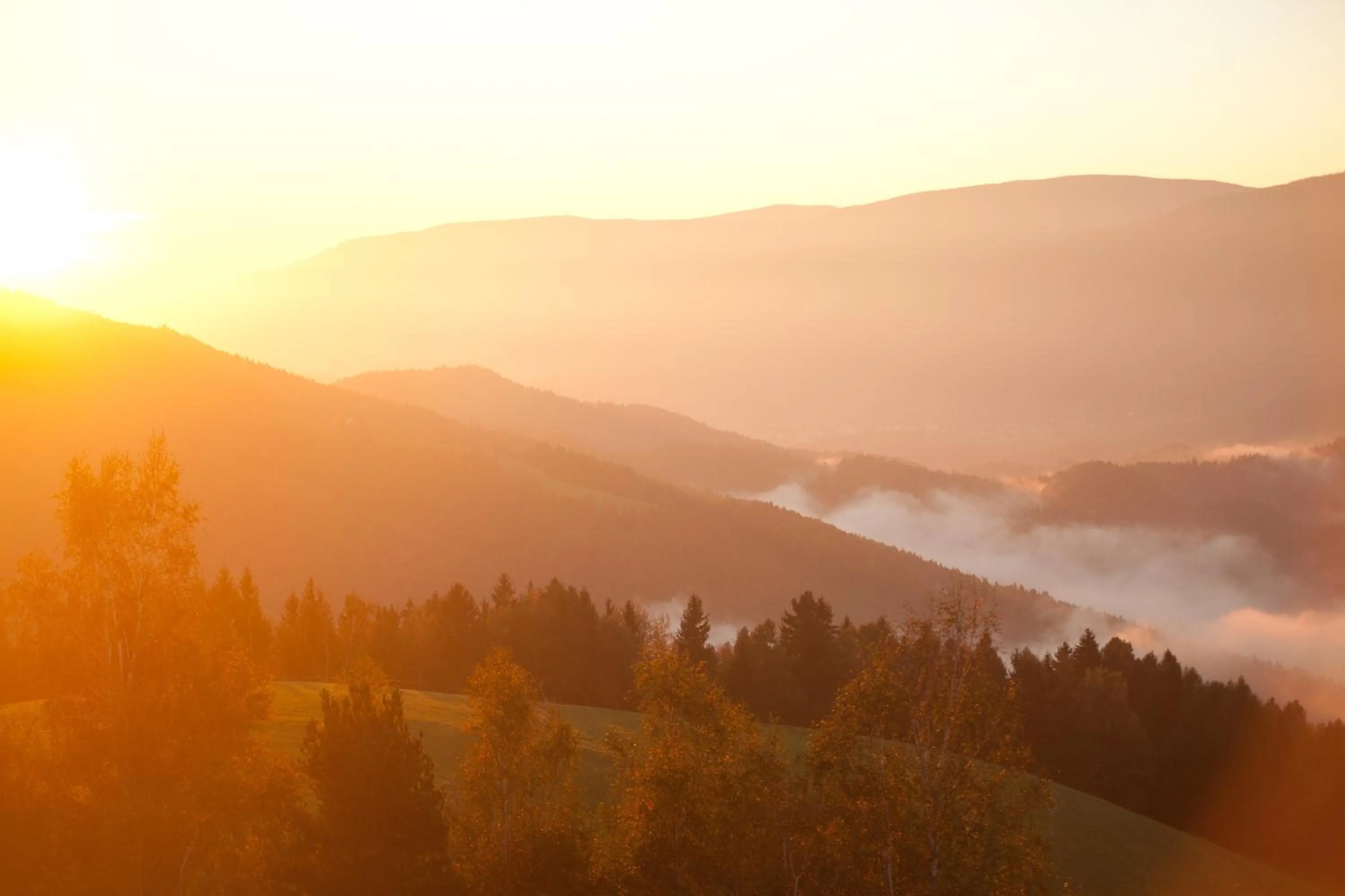 Natural landscape in Lake Peak Apartments, Ribniško Pohorje