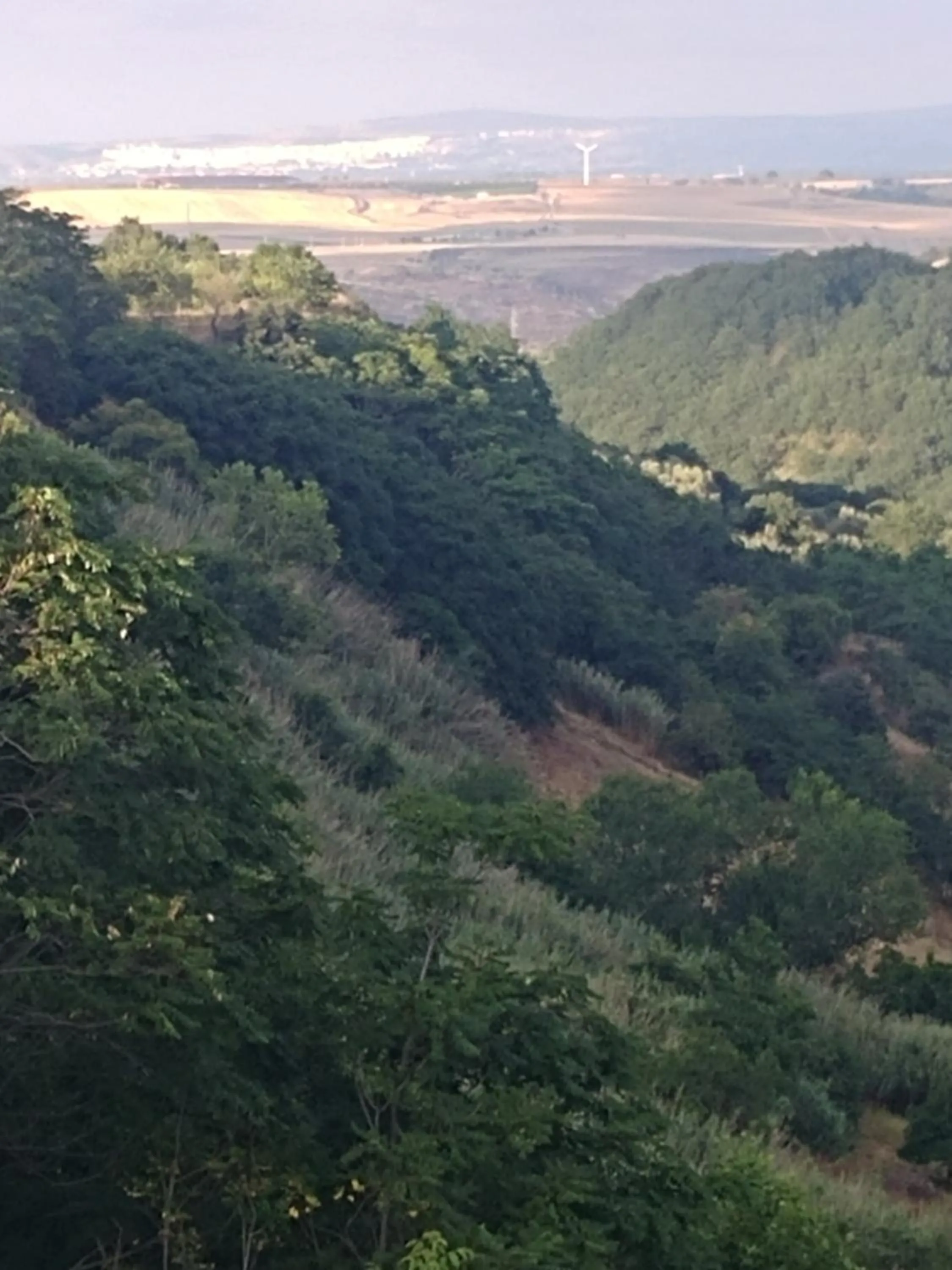 Diadumeno Superior Apartment