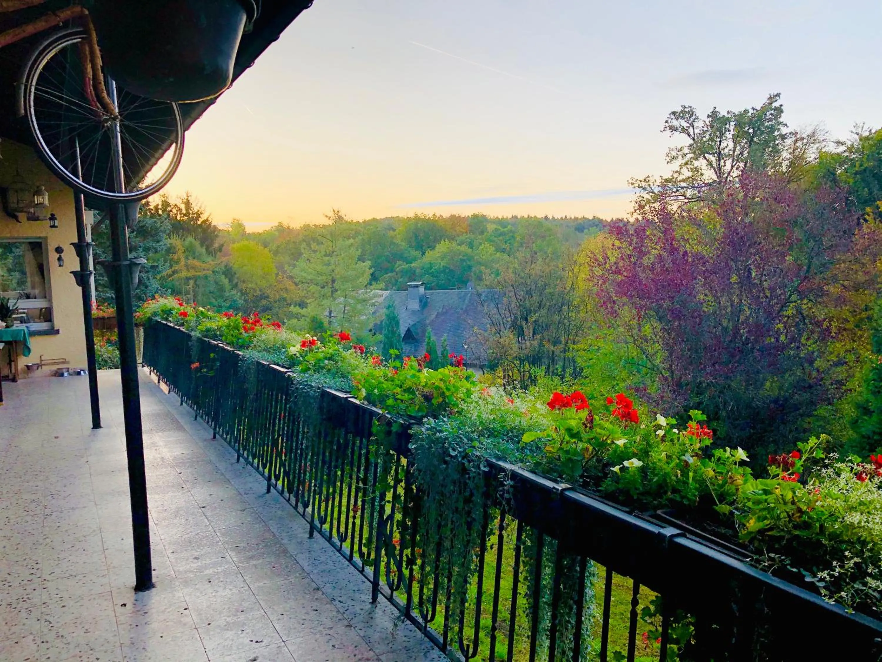 Balcony/Terrace in Hotel-Restaurant Berghof