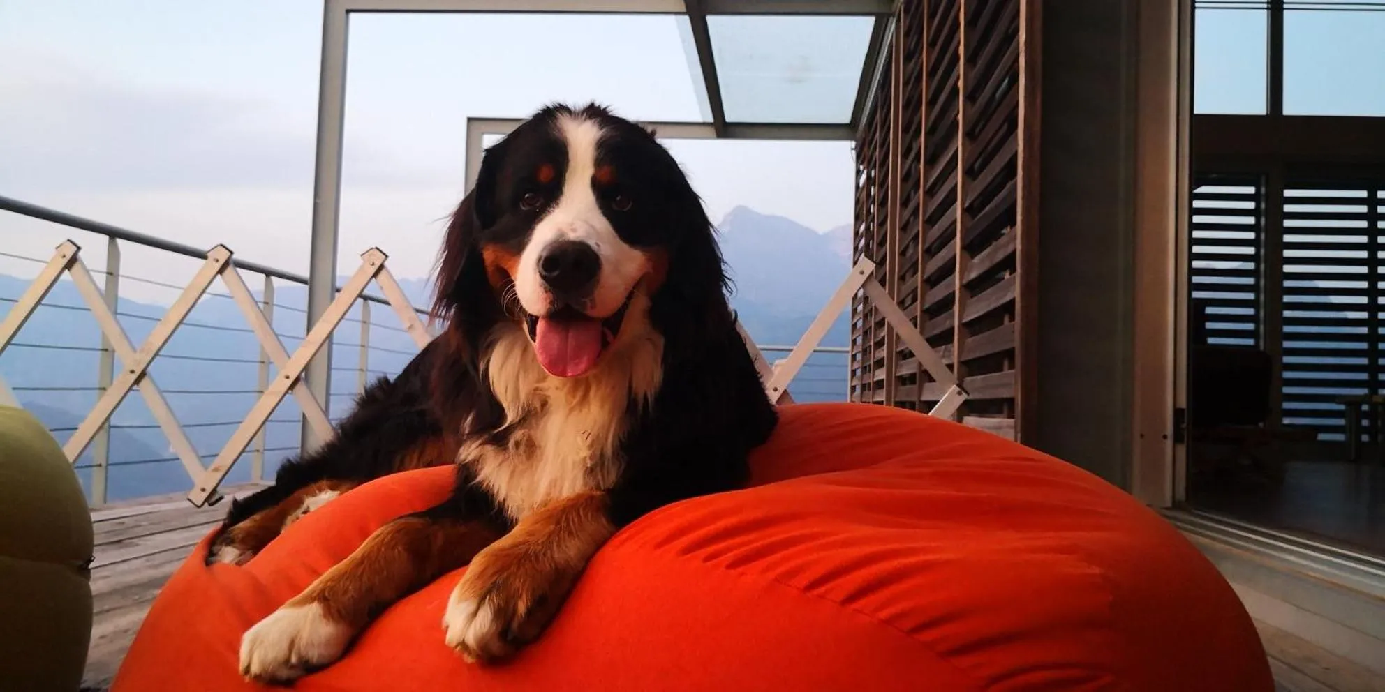 Pets in Nebesa Chalets