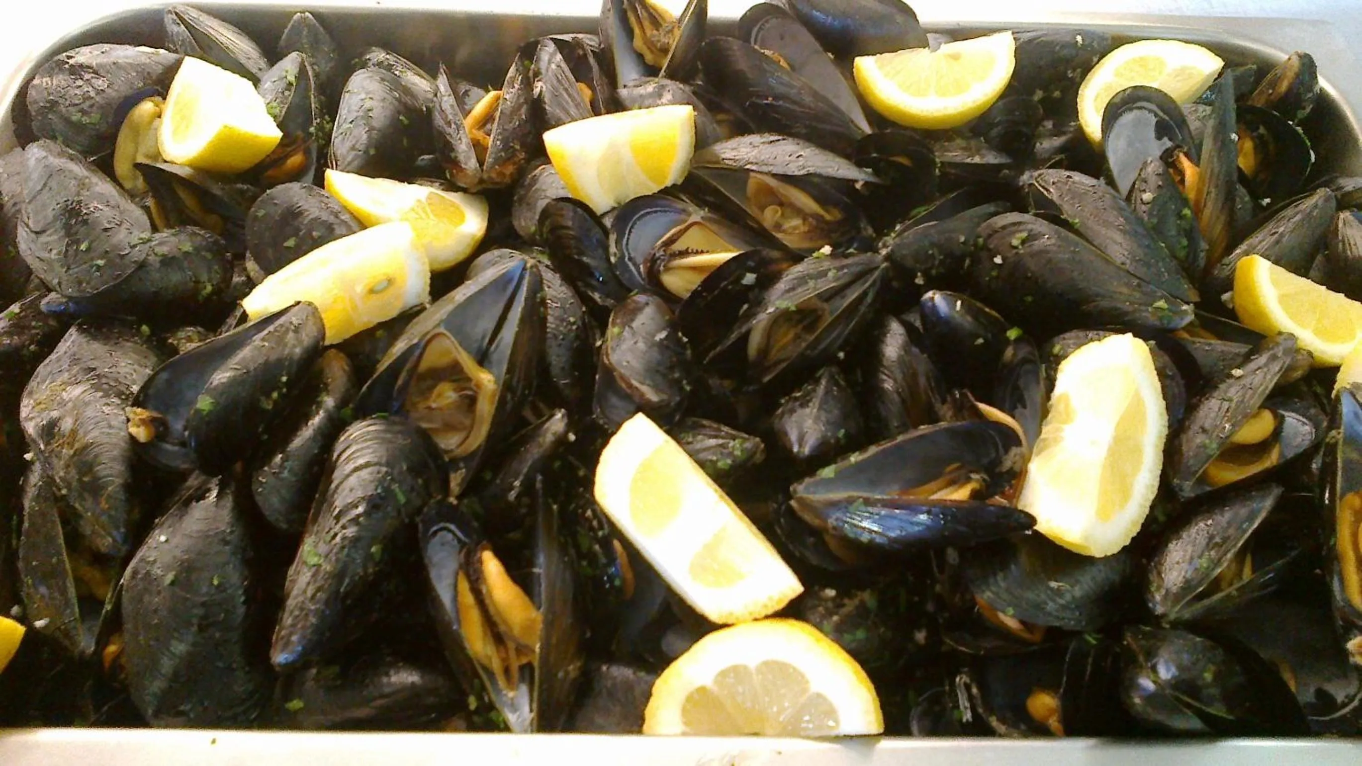 Restaurant/places to eat in Hotel Cavalluccio Marino