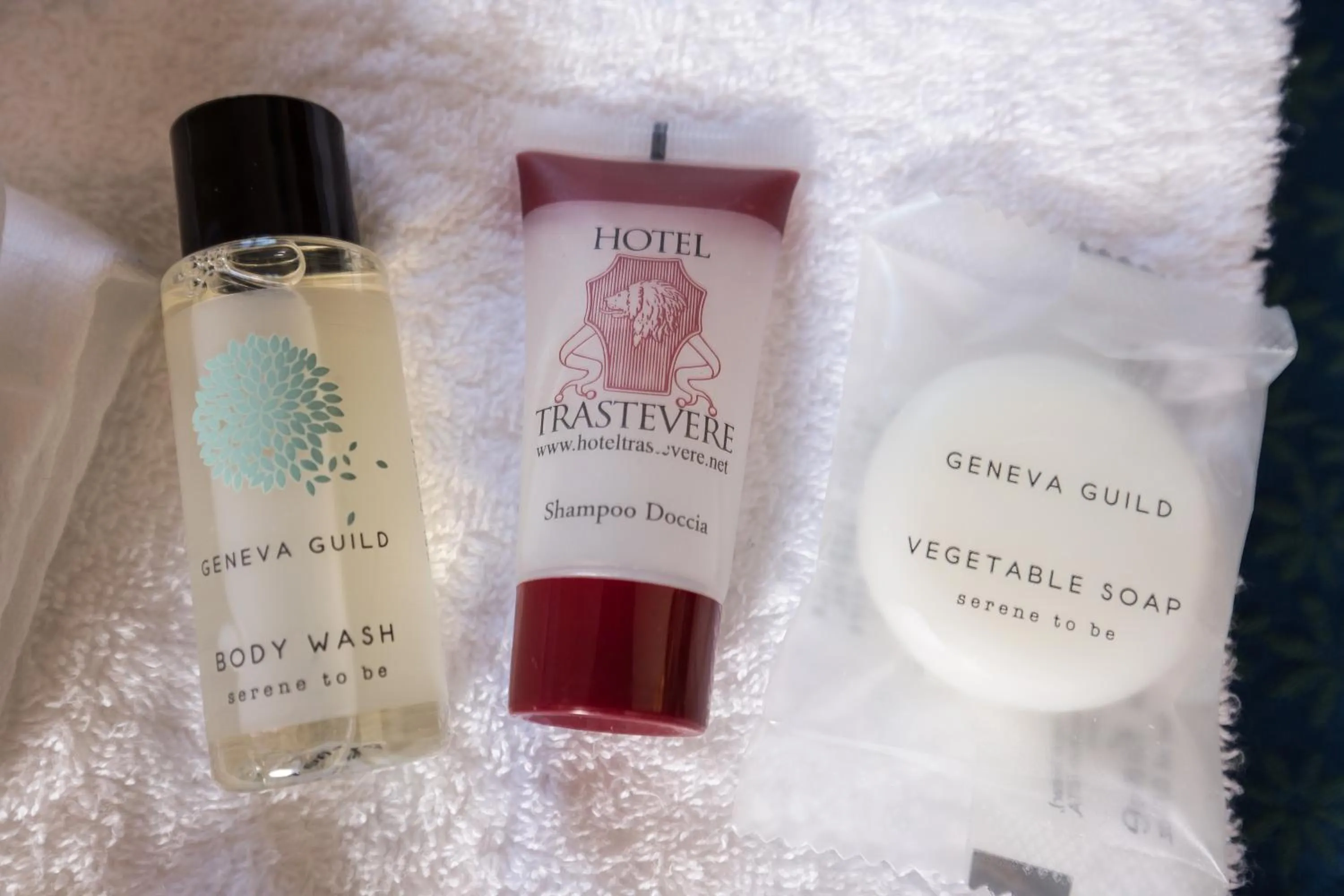 Shower in Hotel Trastevere