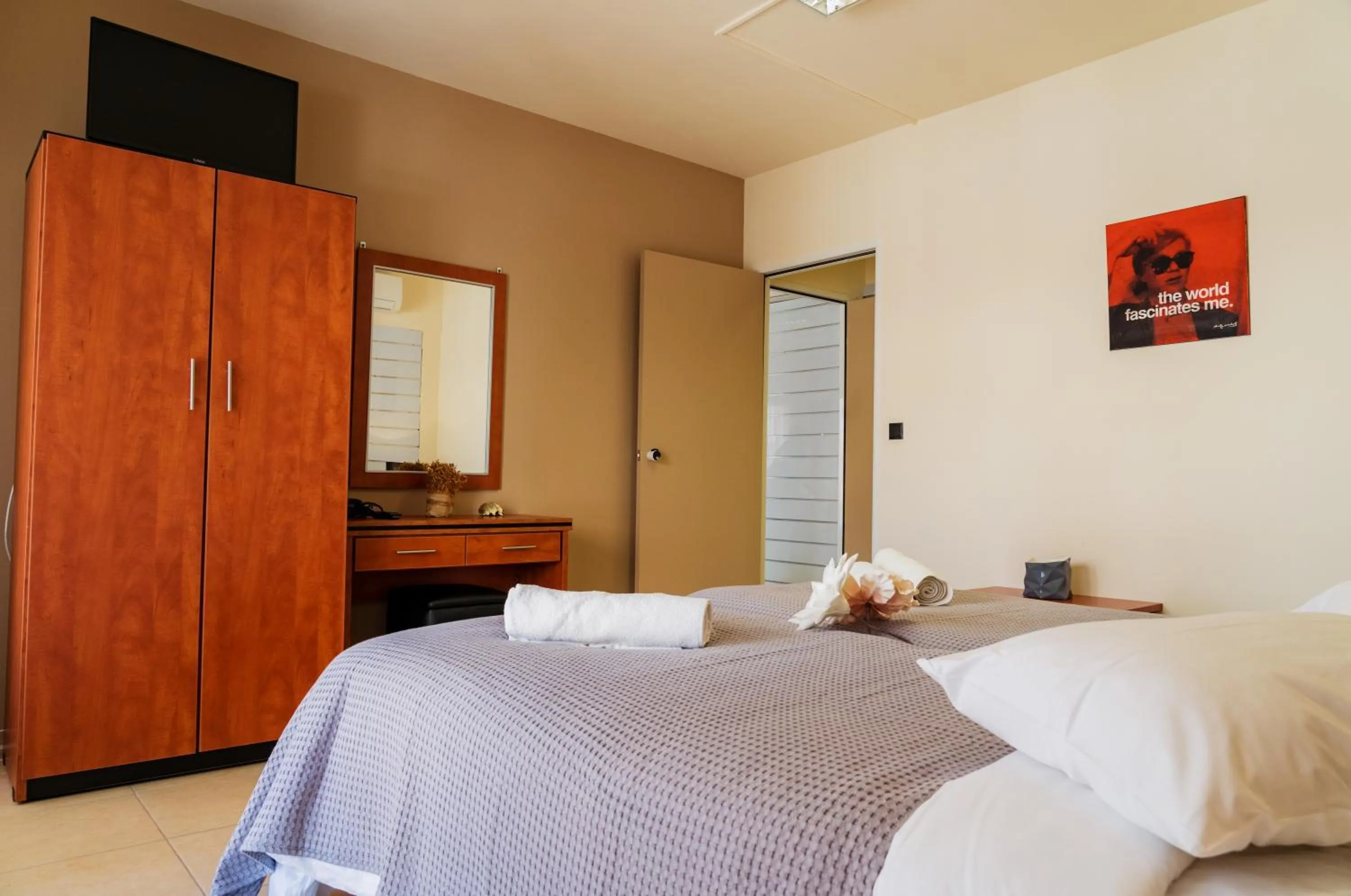 TV and multimedia in Athenian Central Apartments