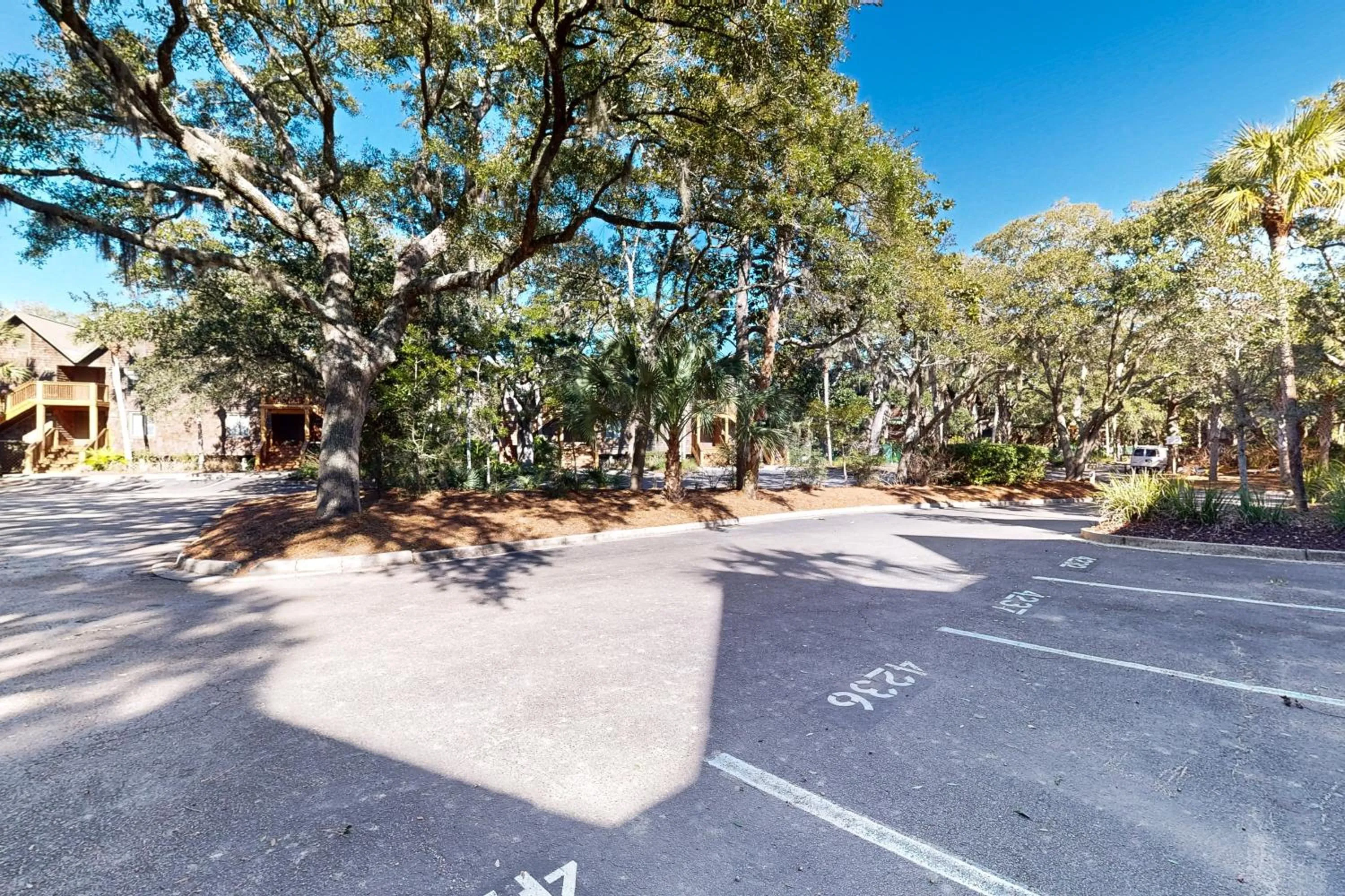 4236 Mariner's Watch