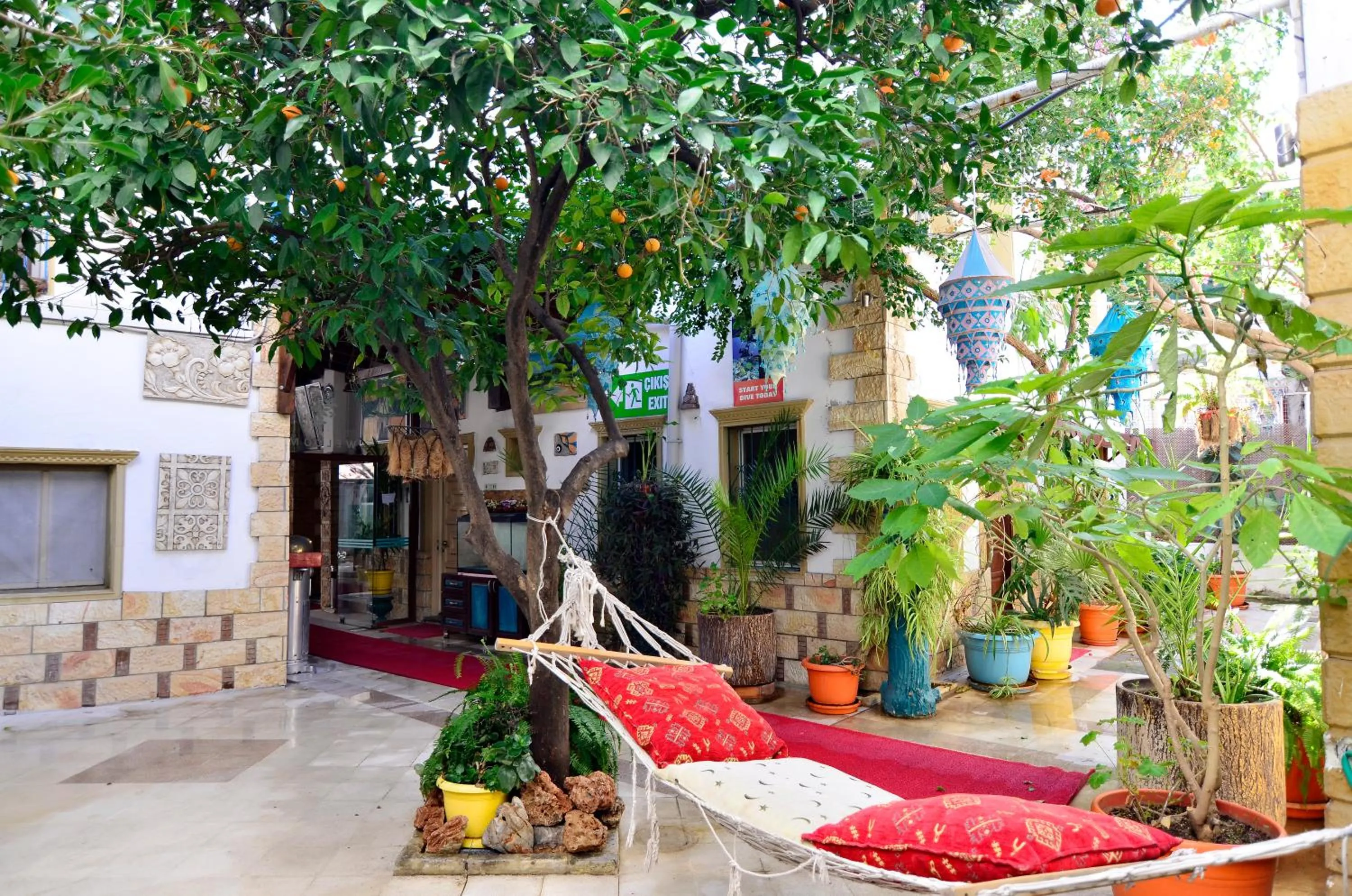 Garden in Sevin Hotel Pension