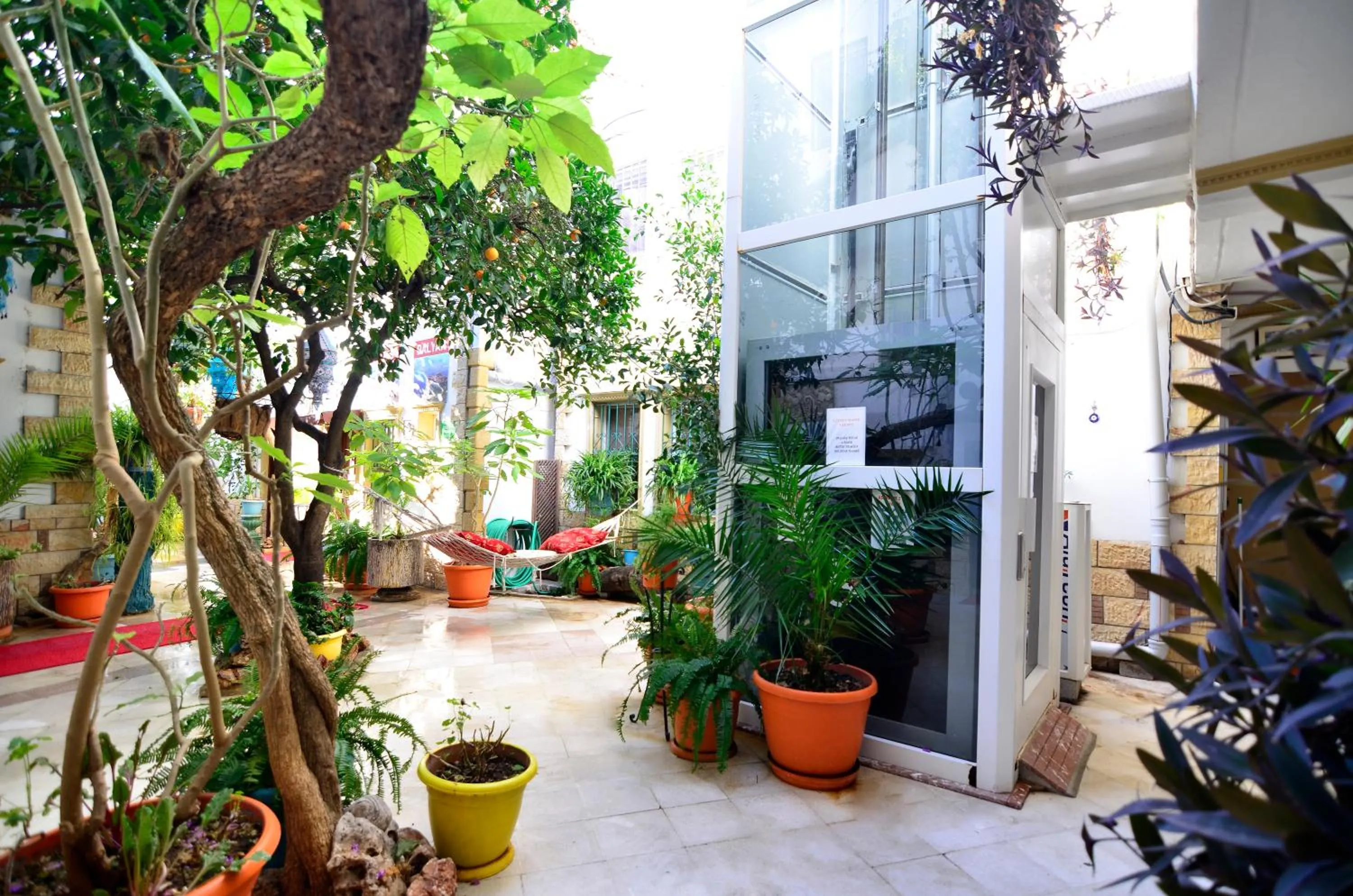 Garden in Sevin Hotel Pension