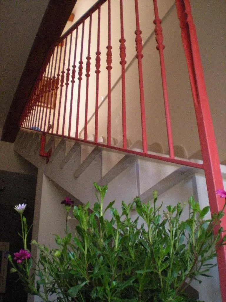 Decorative detail in Chicchi Di Melograno