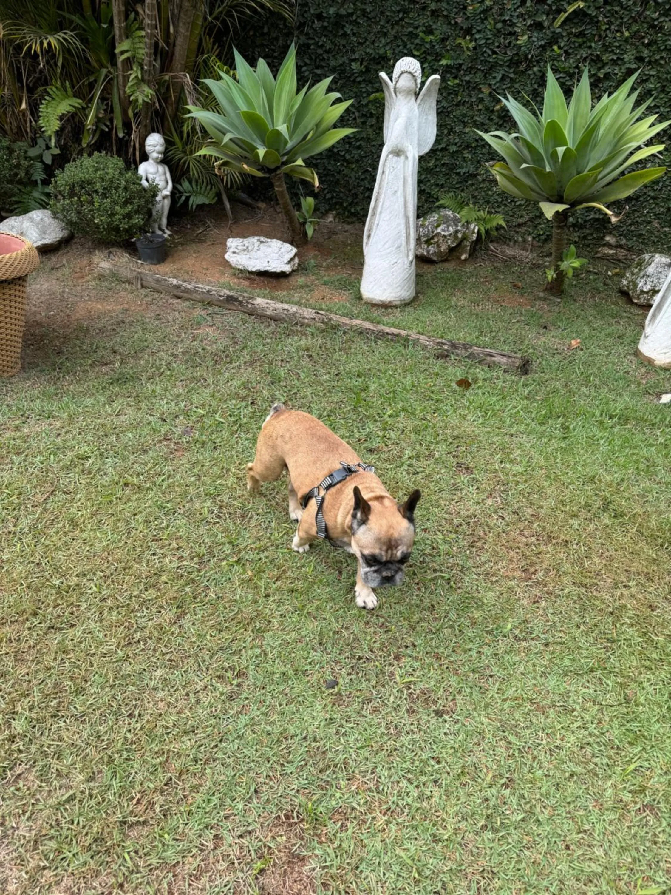 Pousada Crystal Palace