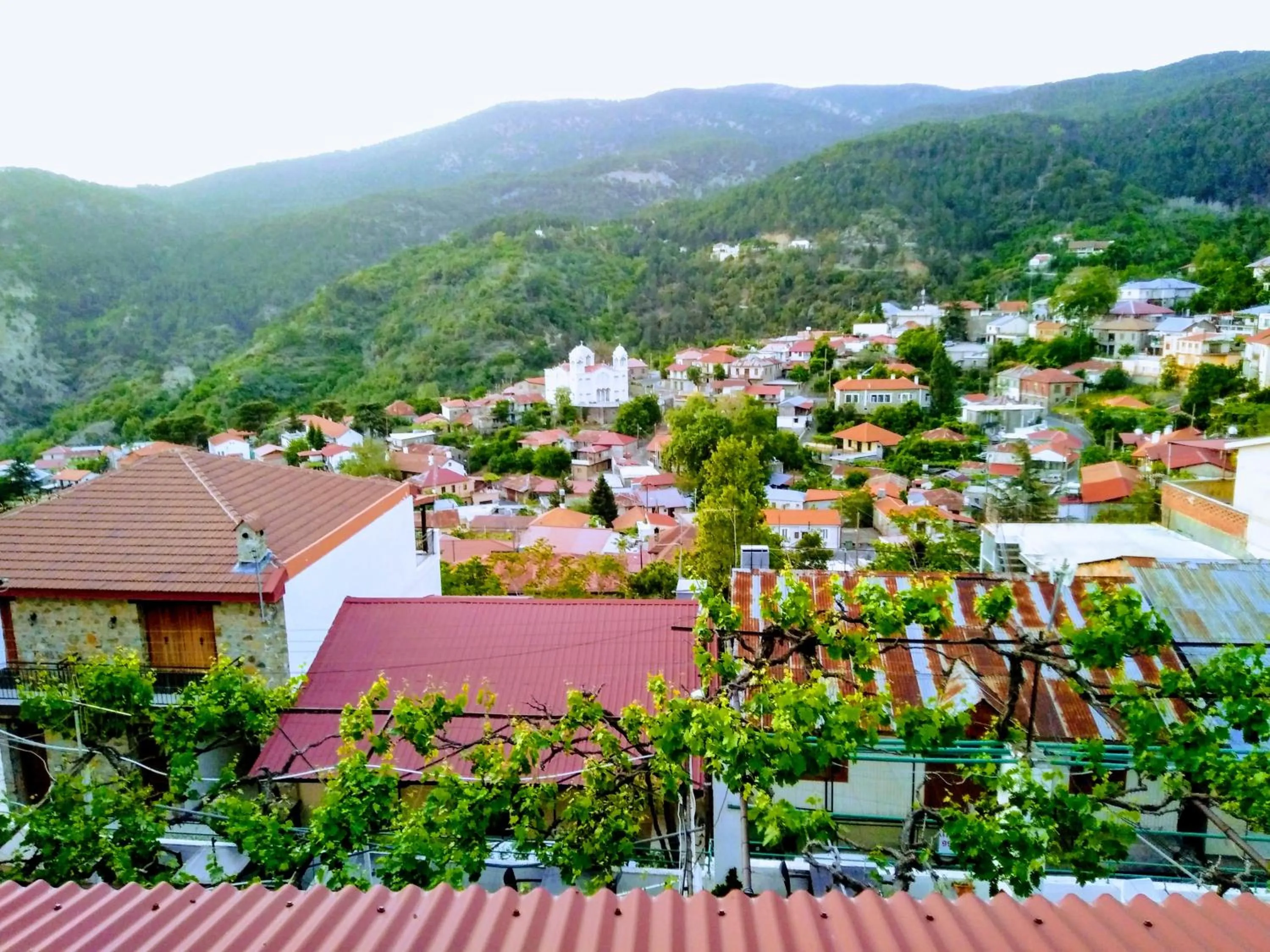 Natural landscape in Christys Palace Hotel