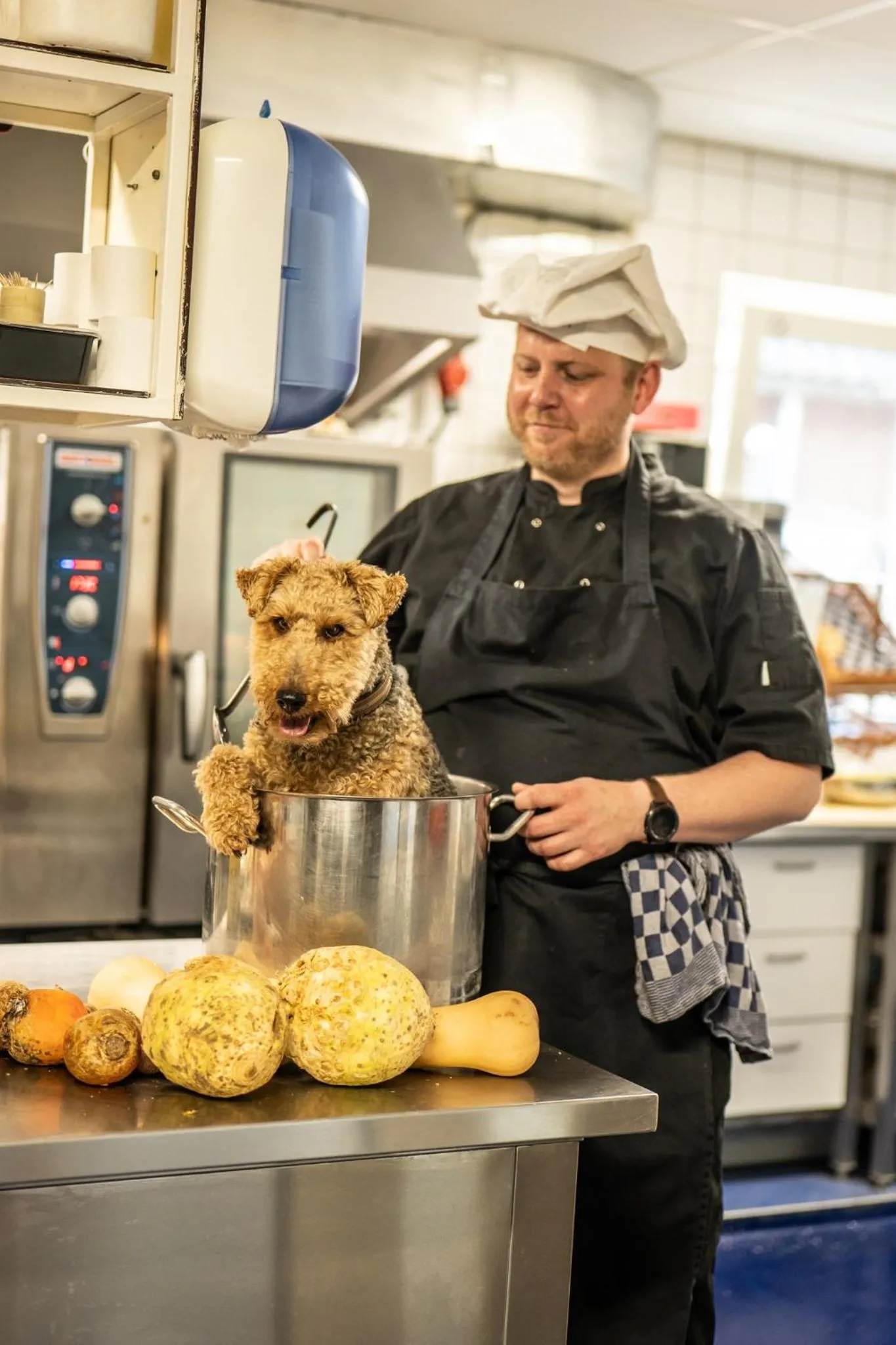 De Stobbe hotel & suites