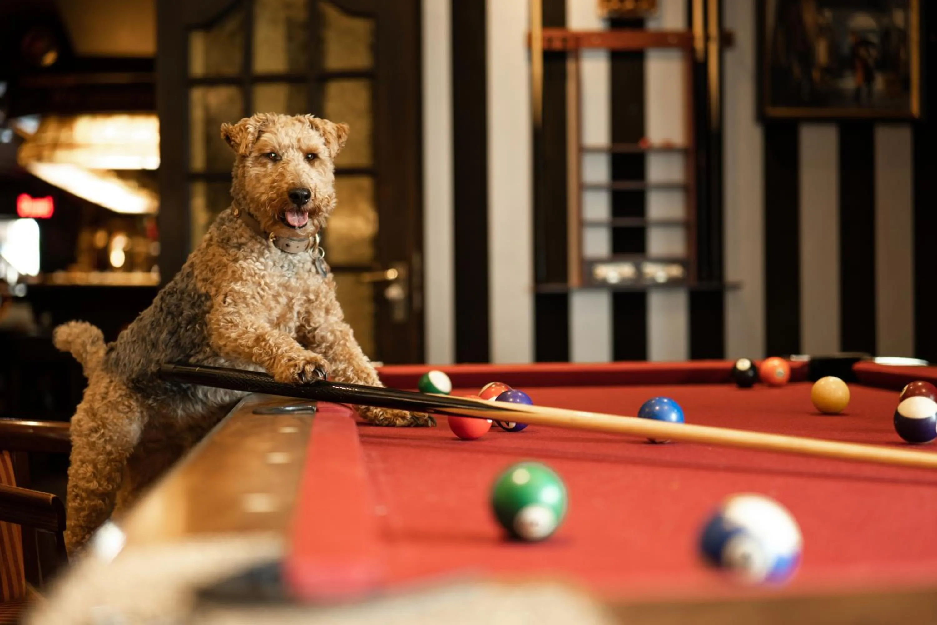 De Stobbe hotel & suites