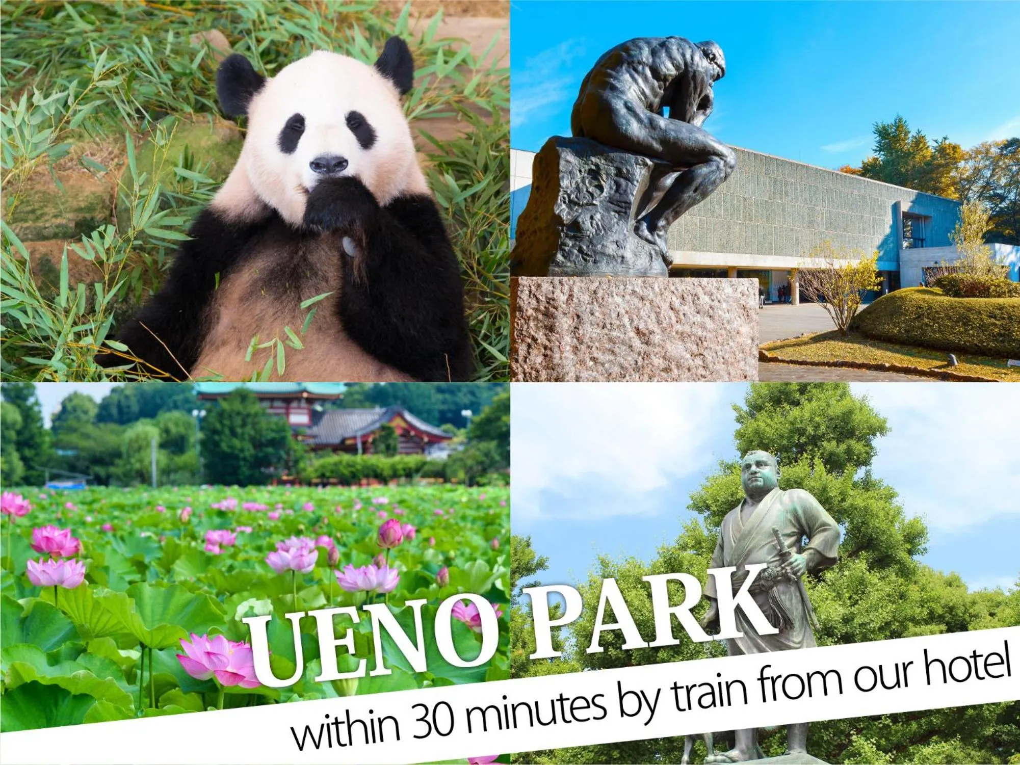 Nearby landmark in Hotel Amethyst