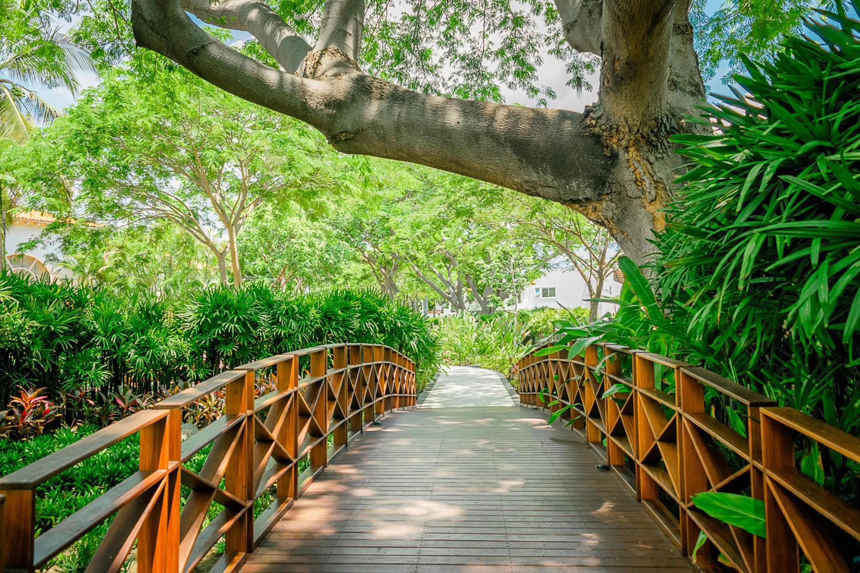 Garden in Kovay Gardens