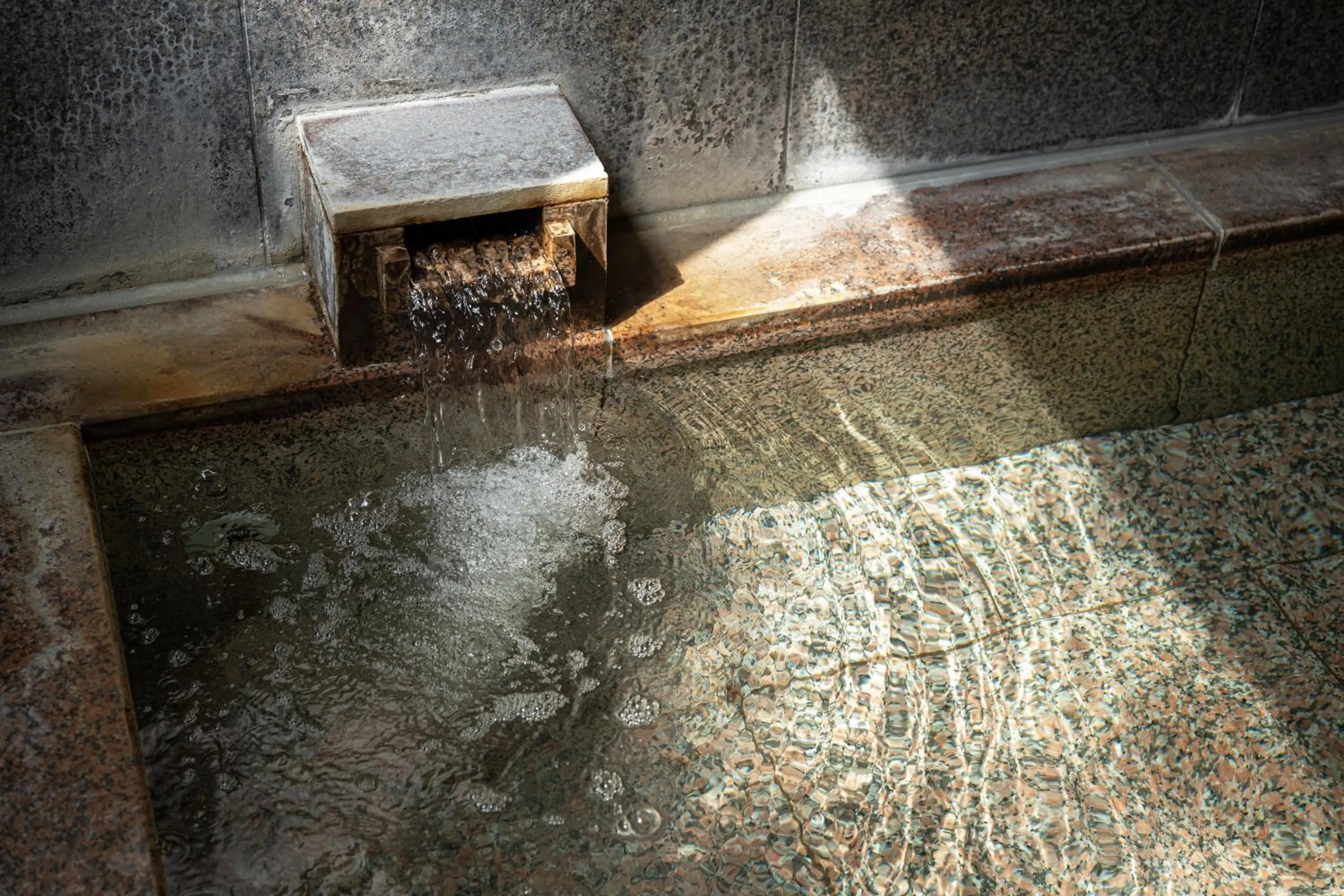 Public Bath in Kinsuikan