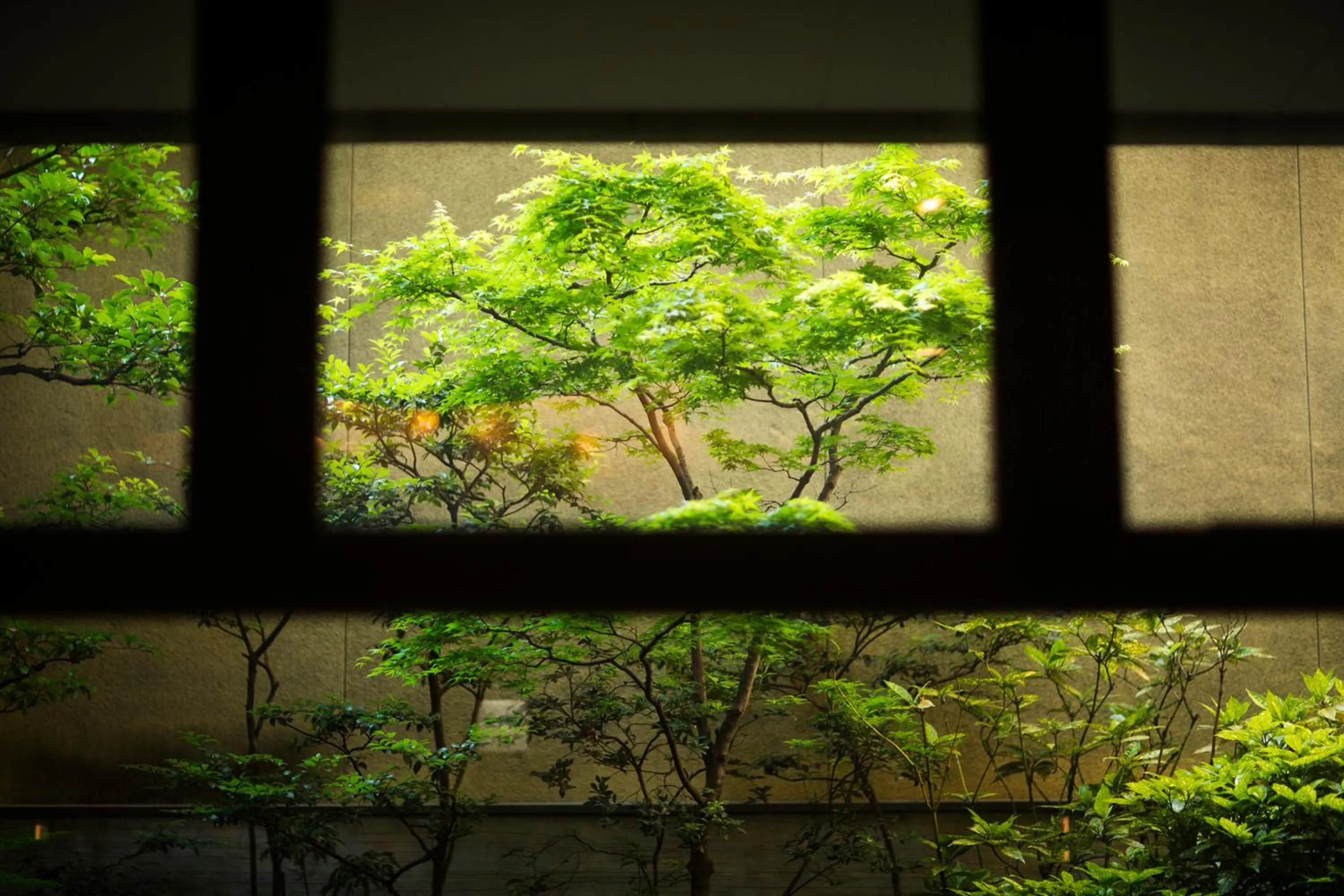 On site in Kinsuikan