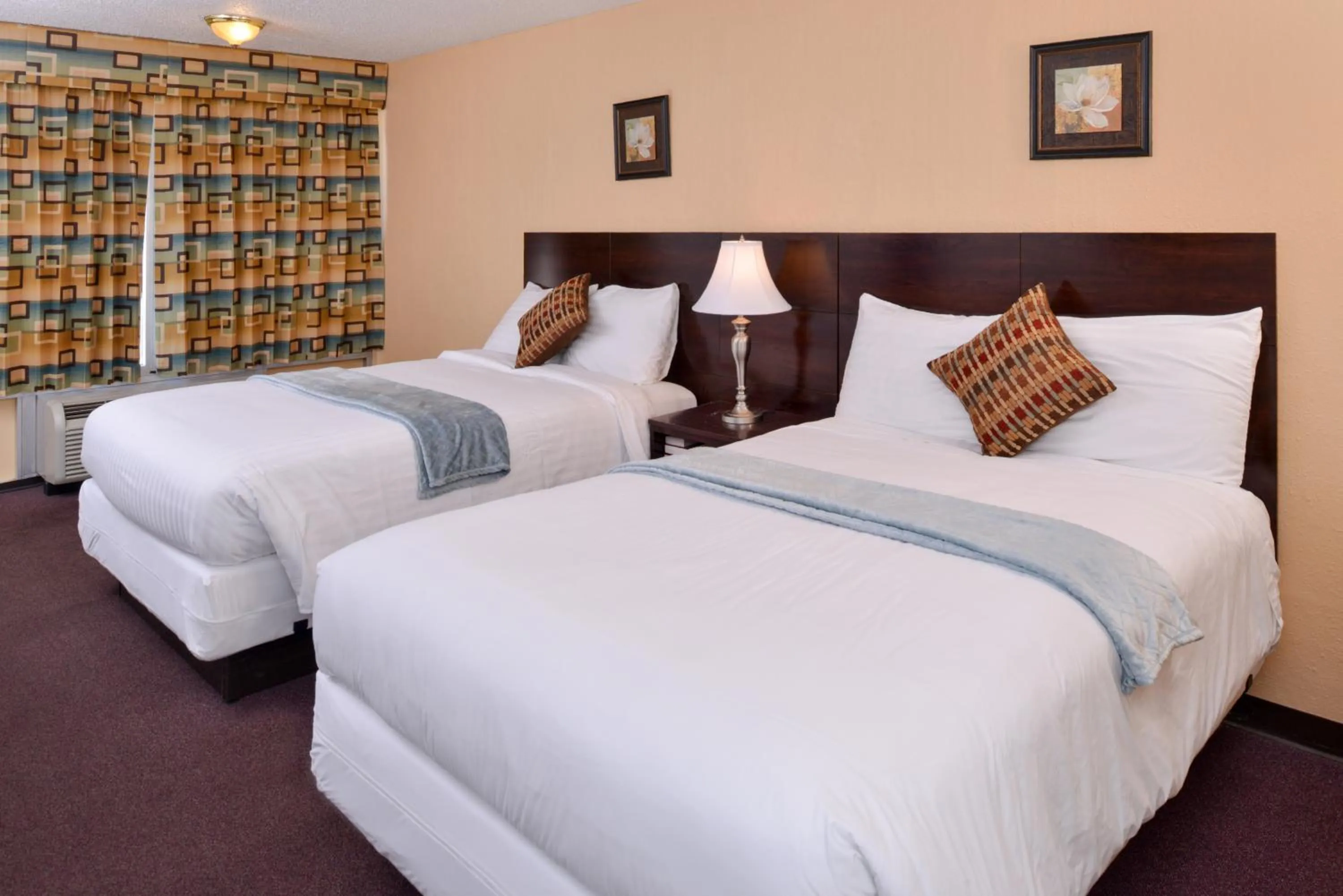 Bedroom in Red Carpet Inn Battleboro