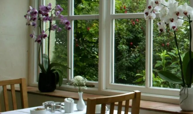 Breakfast in The Spinney