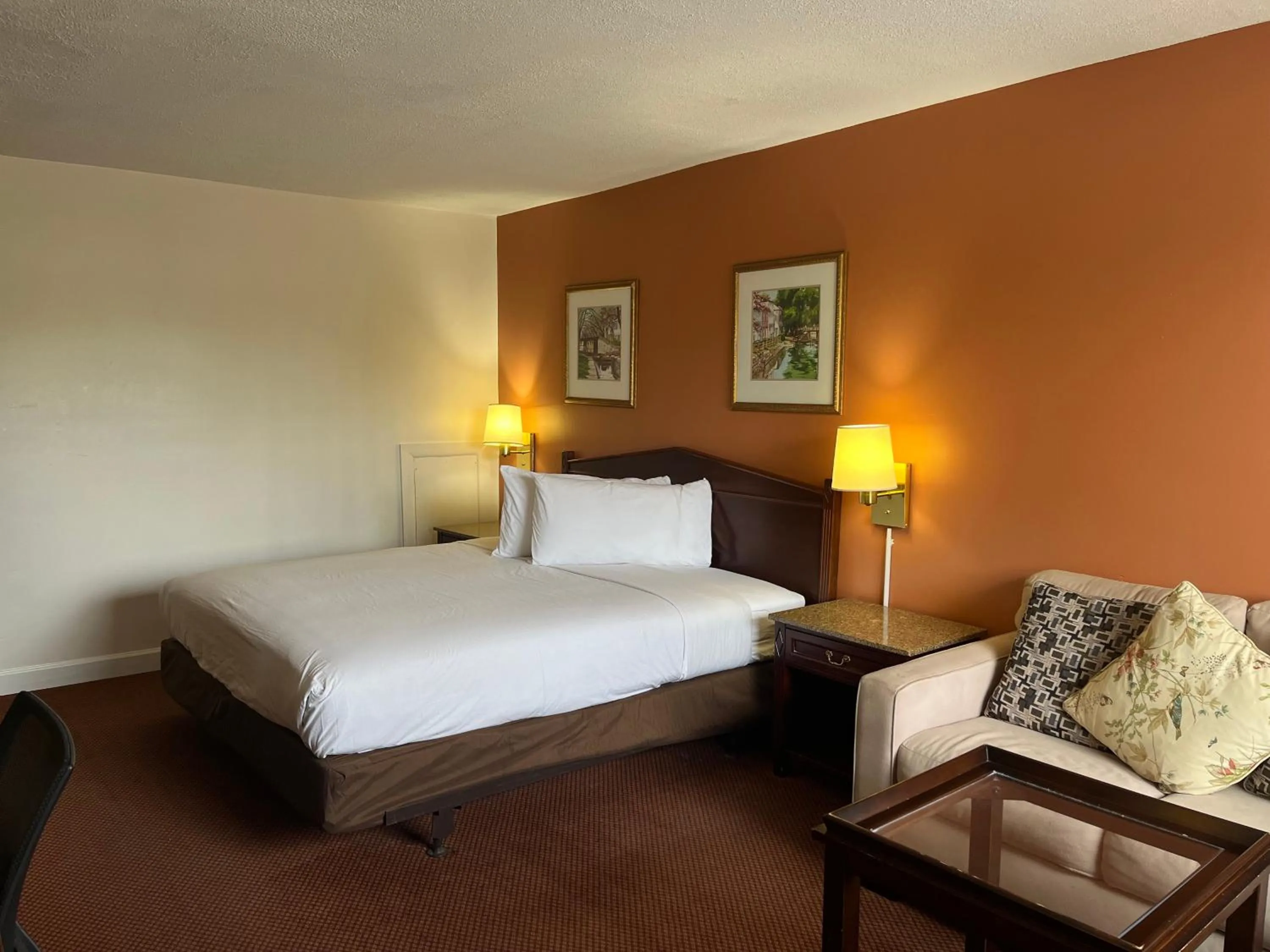 Bed in Motel 6 Culpeper, VA