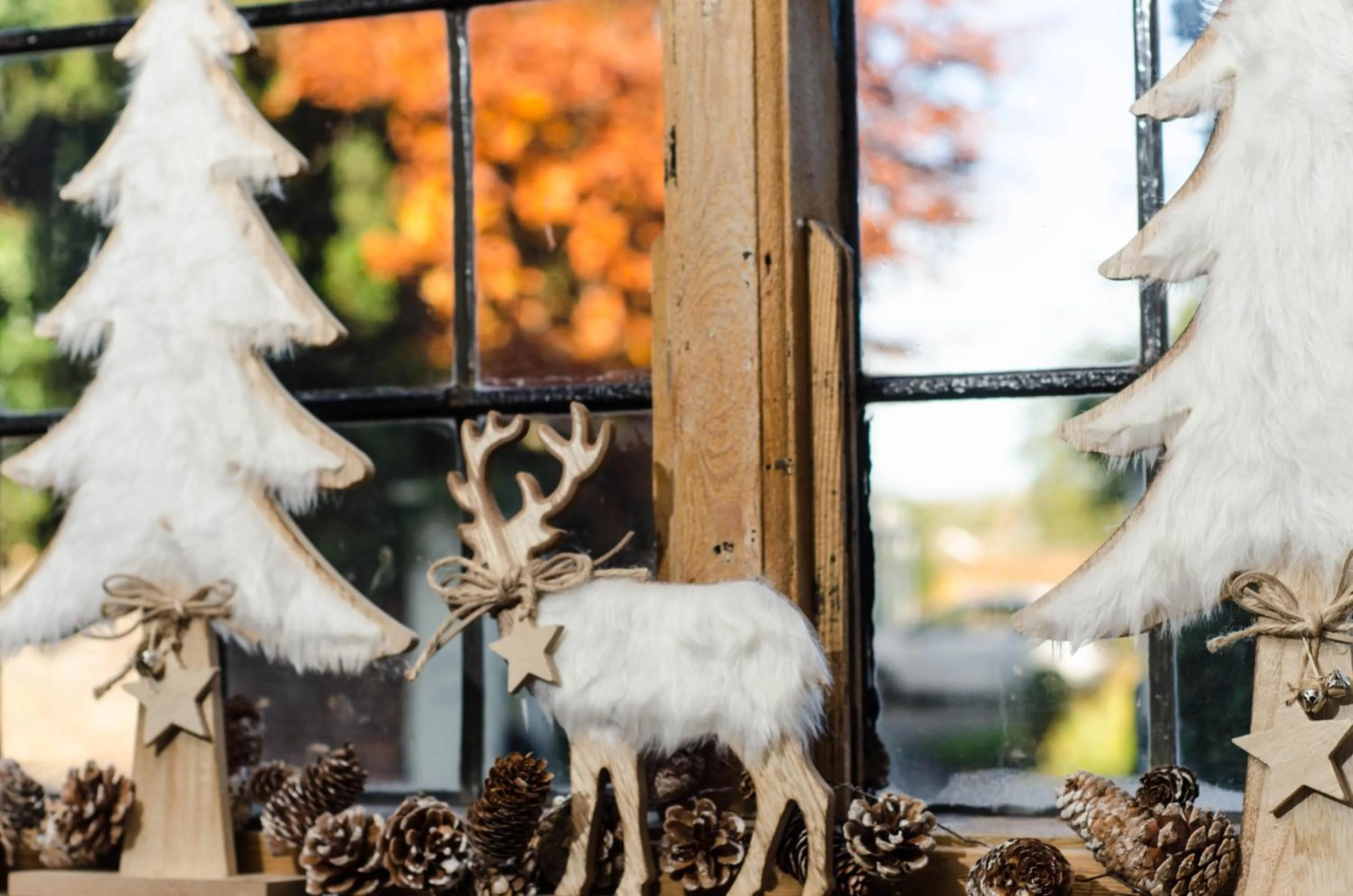 Winter in The Dog At Wingham