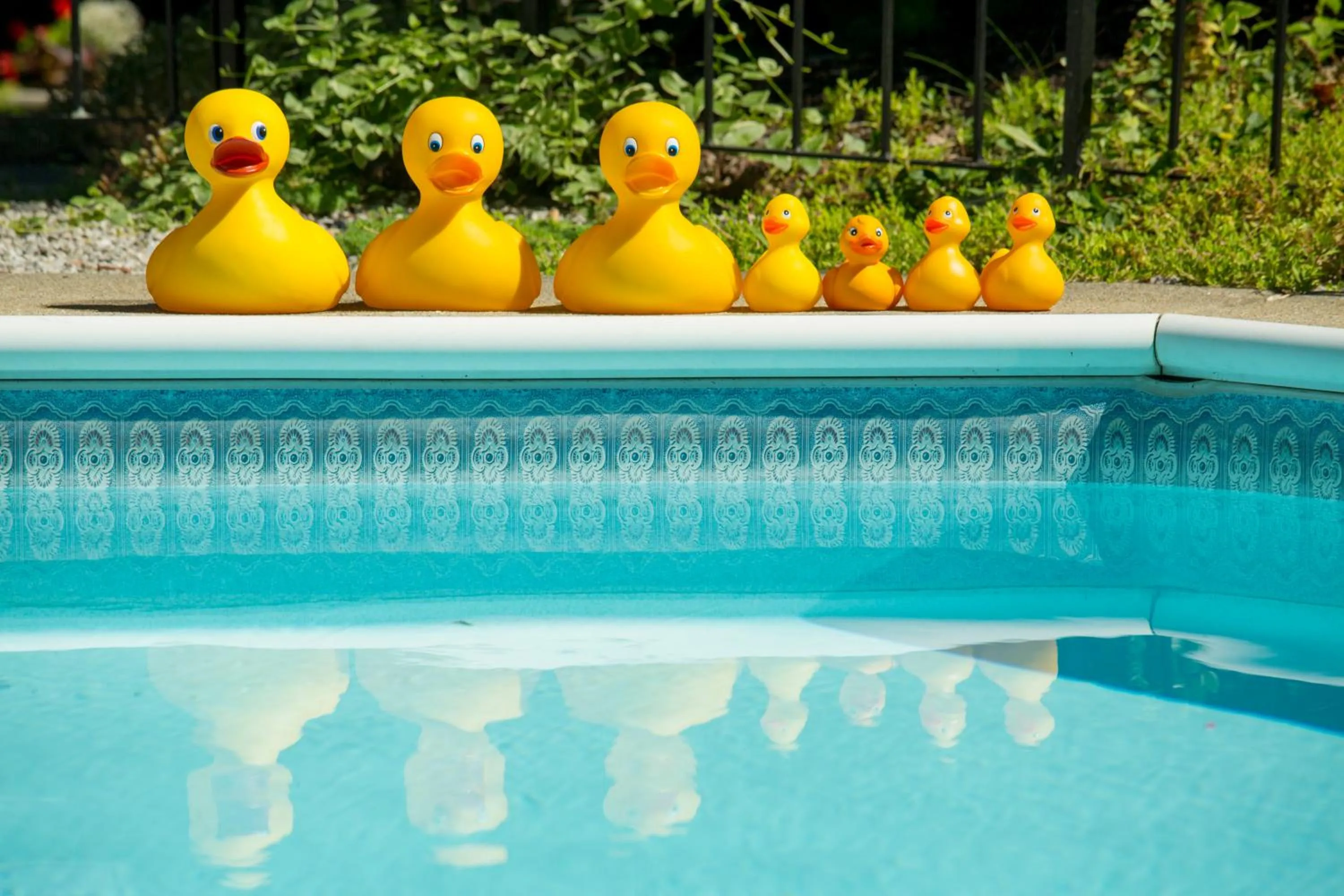 On site in Brook Farm Inn