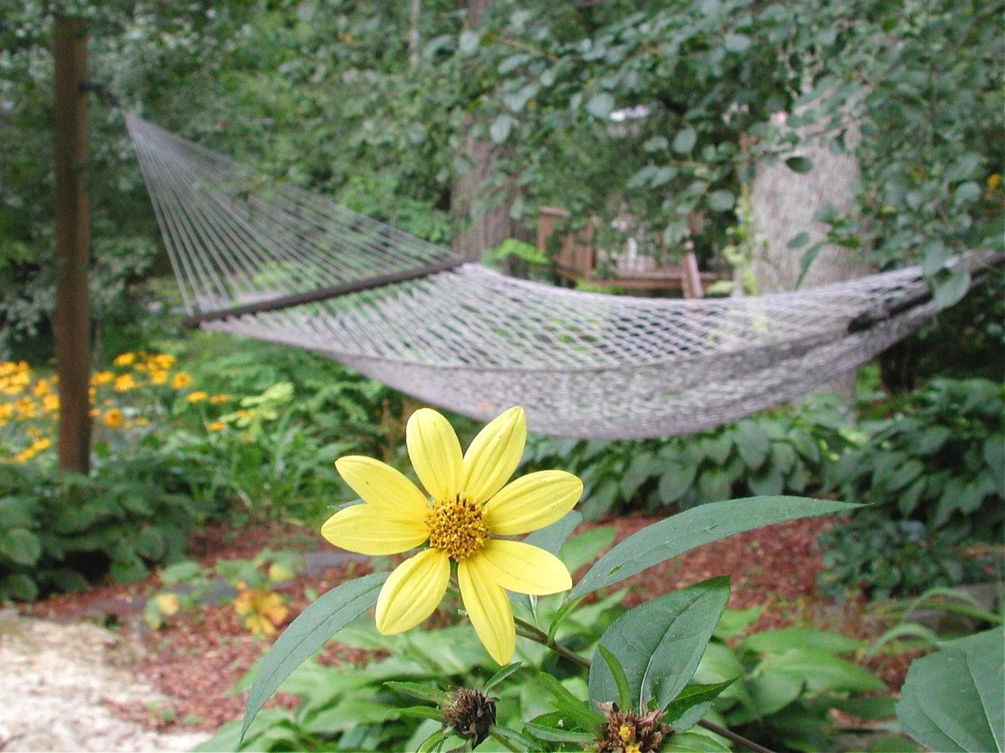 Garden view in Brook Farm Inn