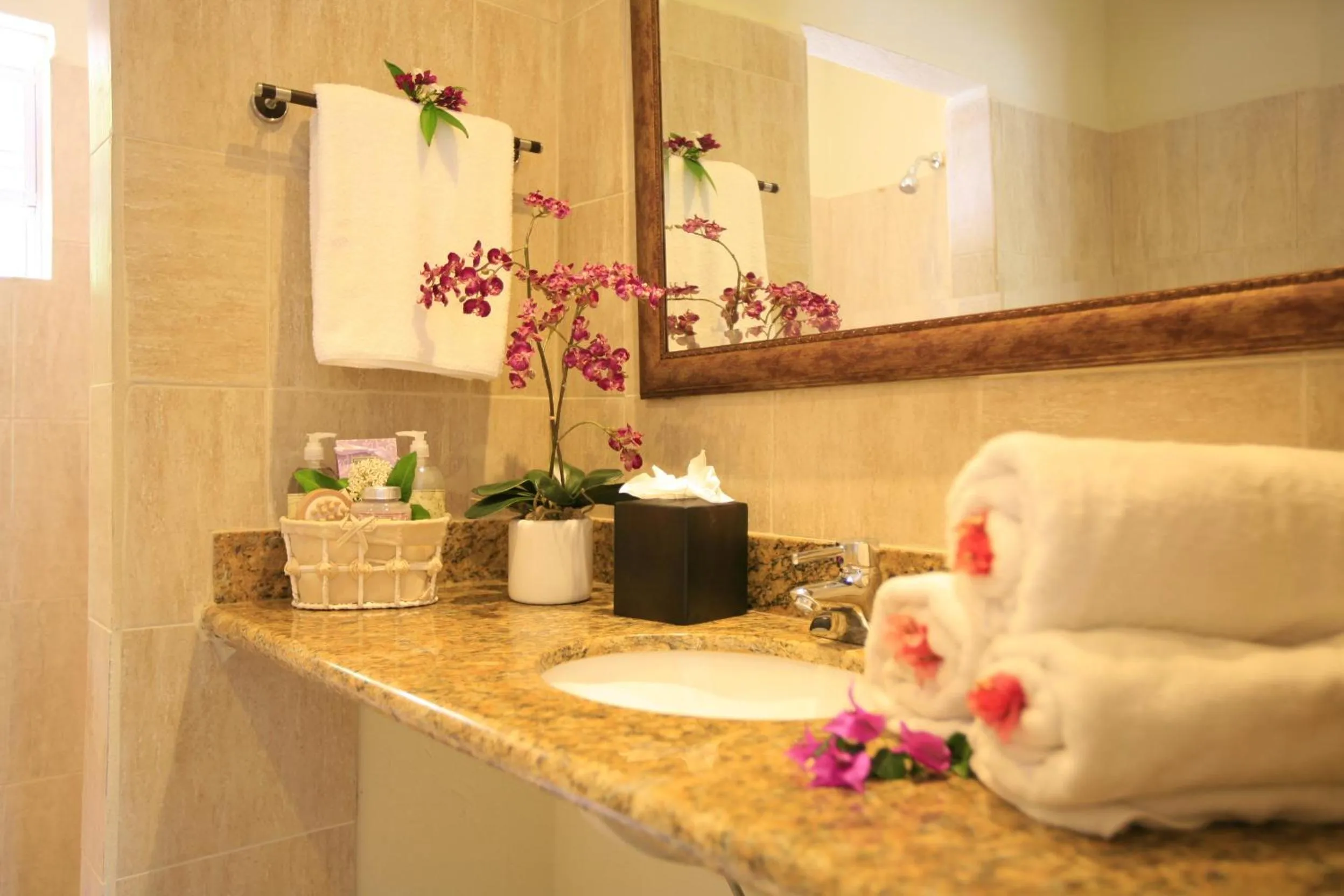 Bathroom in Marigot Beach Club & Dive Resort