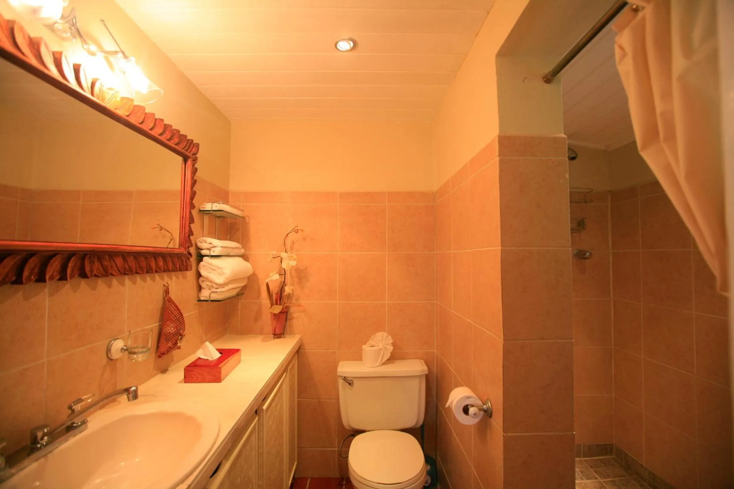 Bathroom in Marigot Beach Club & Dive Resort