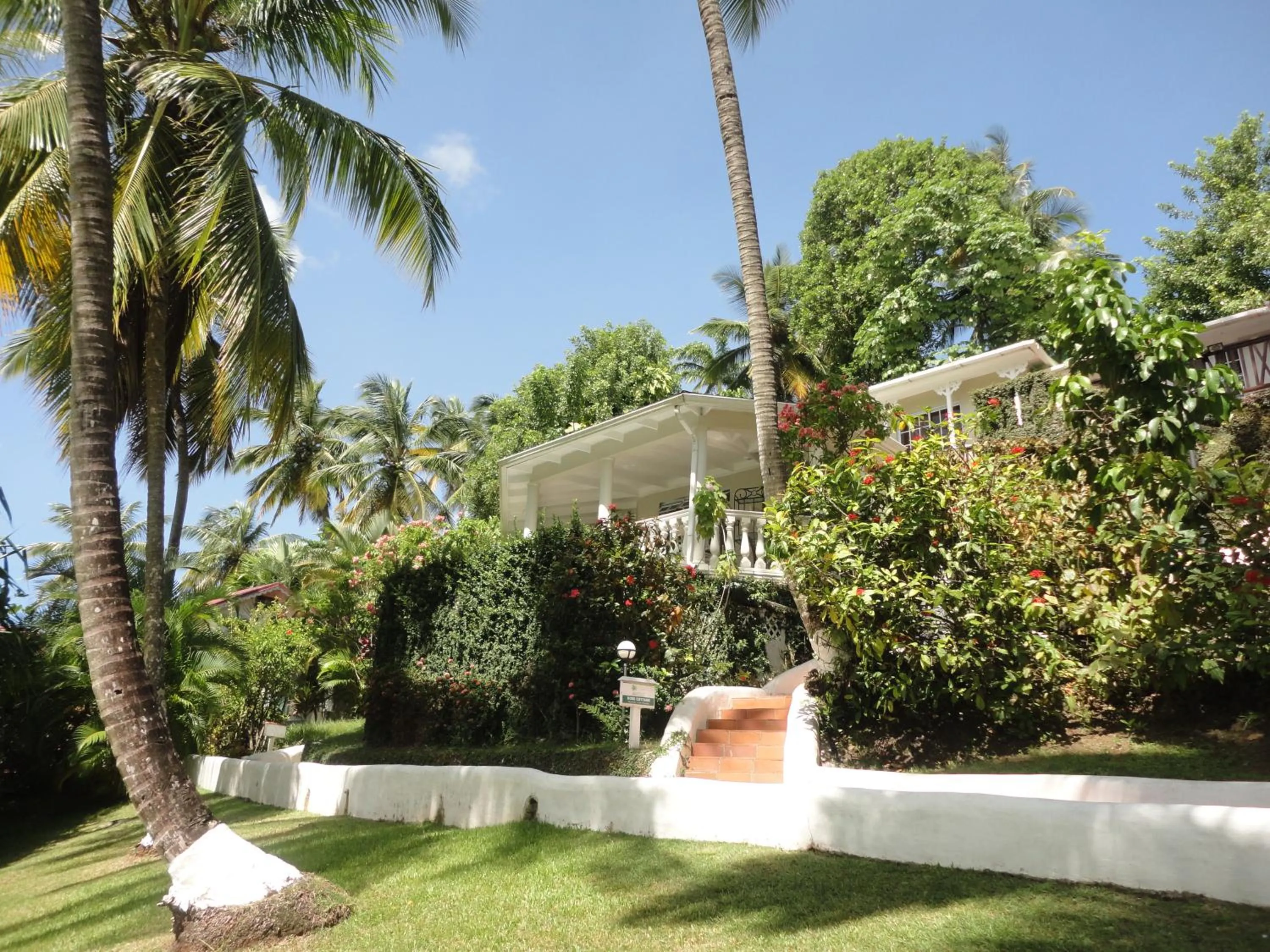 Garden in Marigot Beach Club & Dive Resort