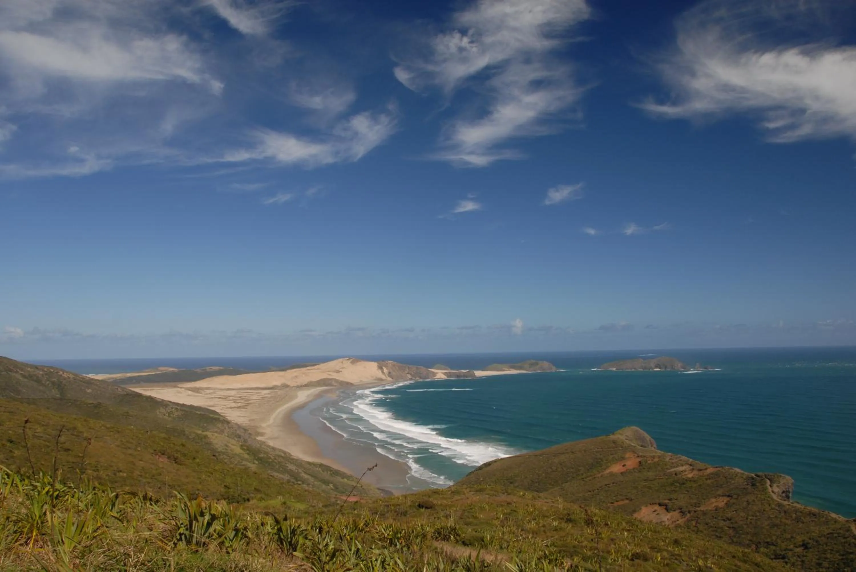Natural landscape in Kauri Lodge Motel