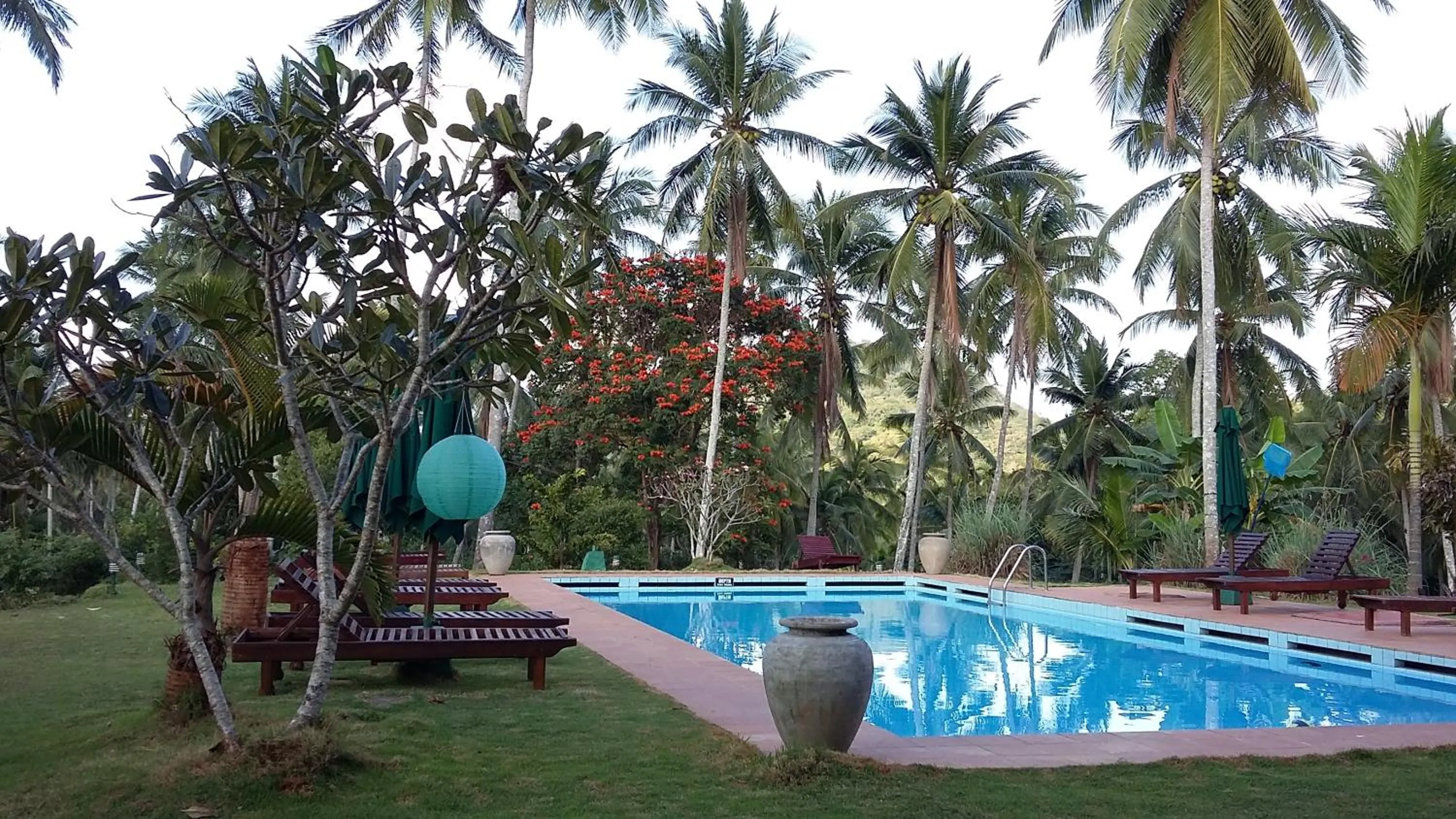 Swimming pool in Jim's Farm Villas