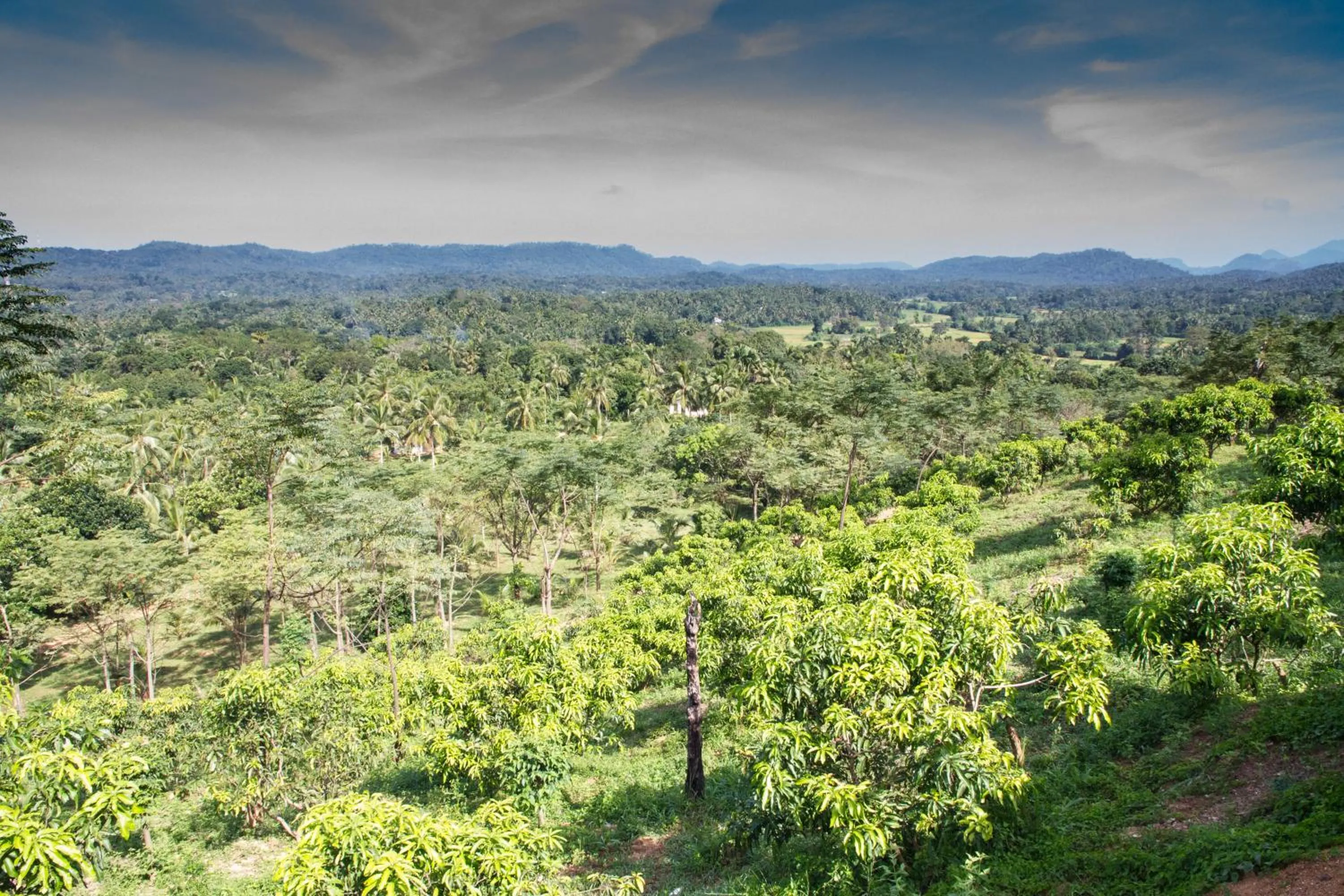Mountain view in Jim's Farm Villas