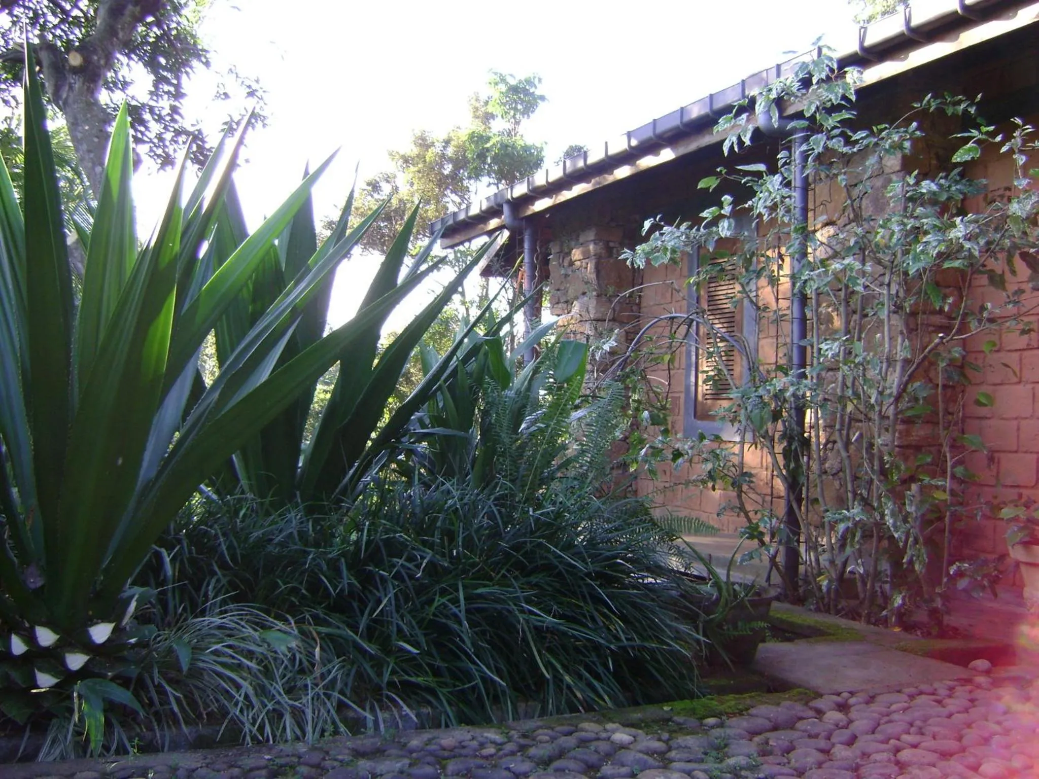 Garden in Landa Holiday House