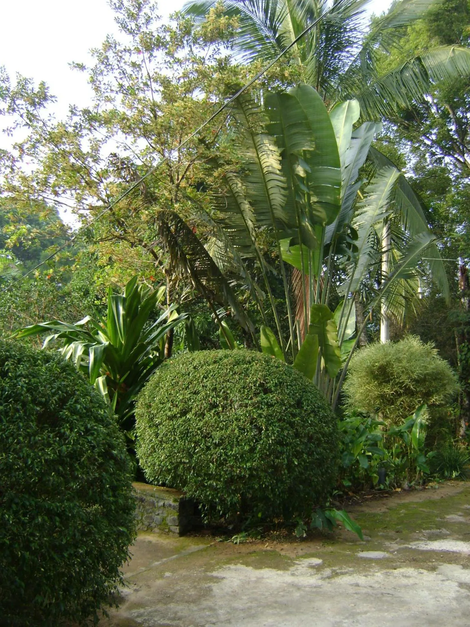 Garden in Landa Holiday House