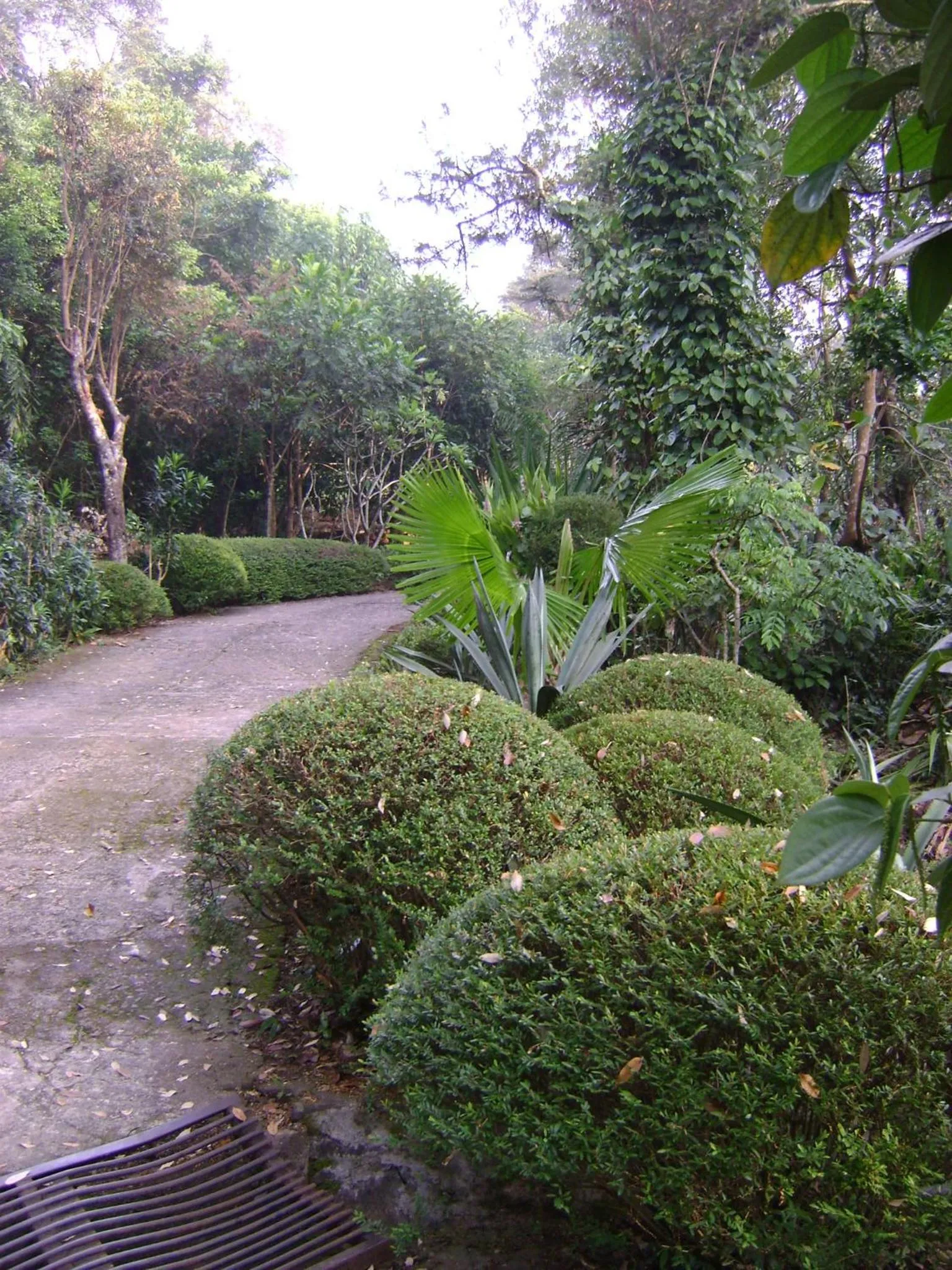 Garden view in Landa Holiday House