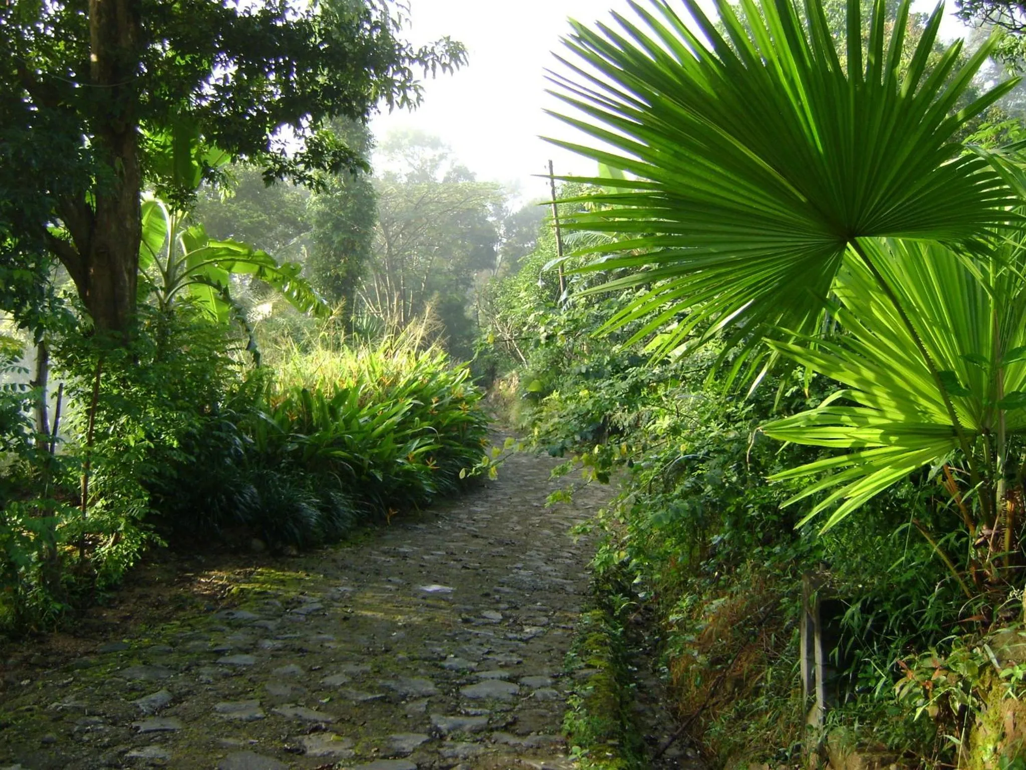 Area and facilities in Landa Holiday House