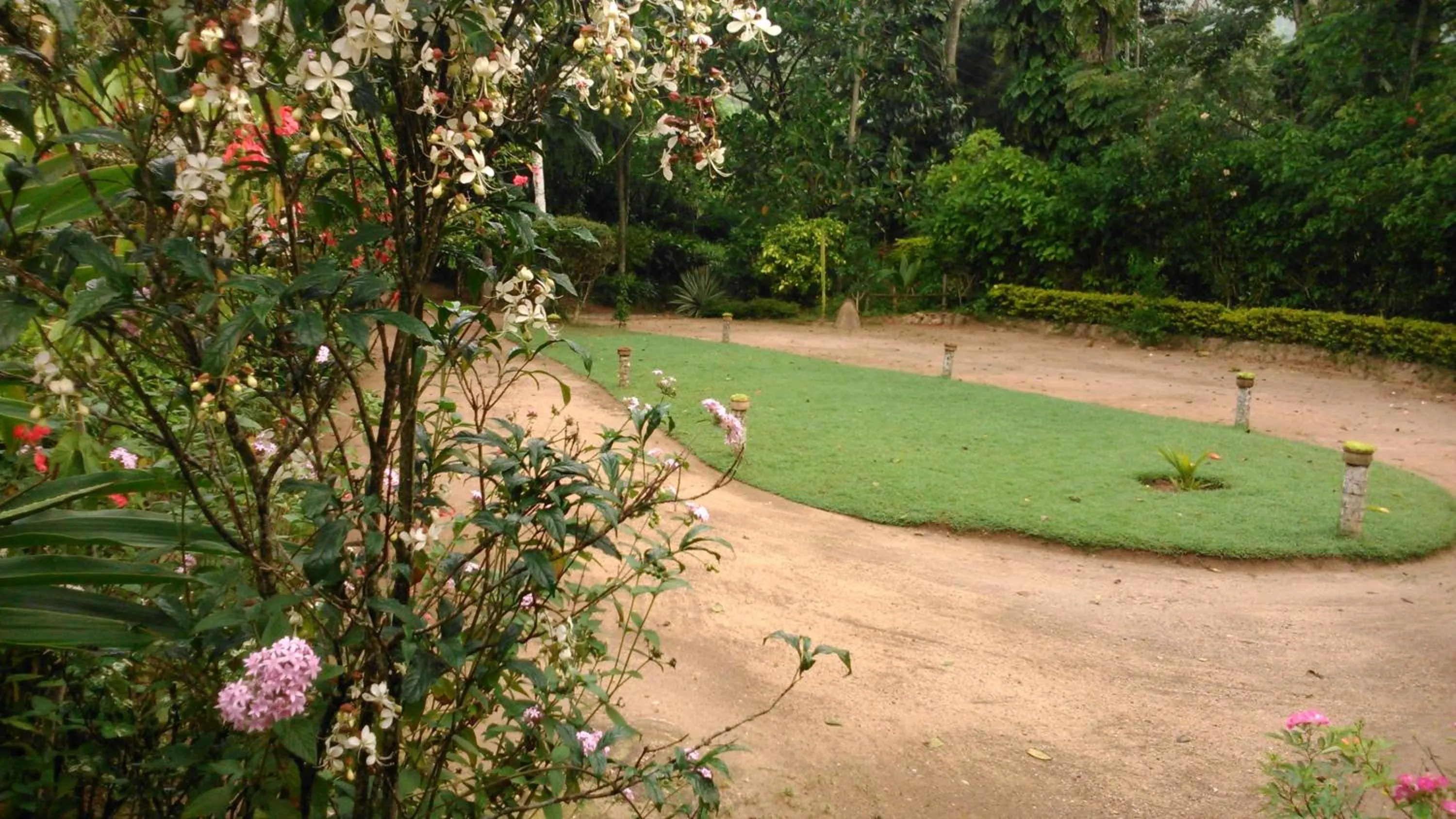 Garden in Sunnyside Holiday Bungalow