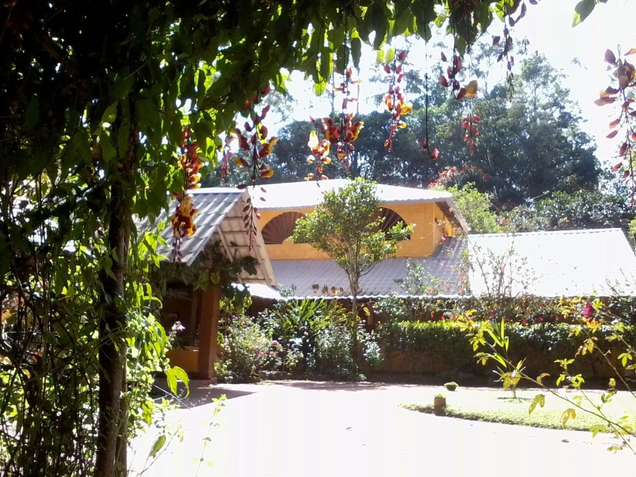 Facade/entrance in Sunnyside Holiday Bungalow