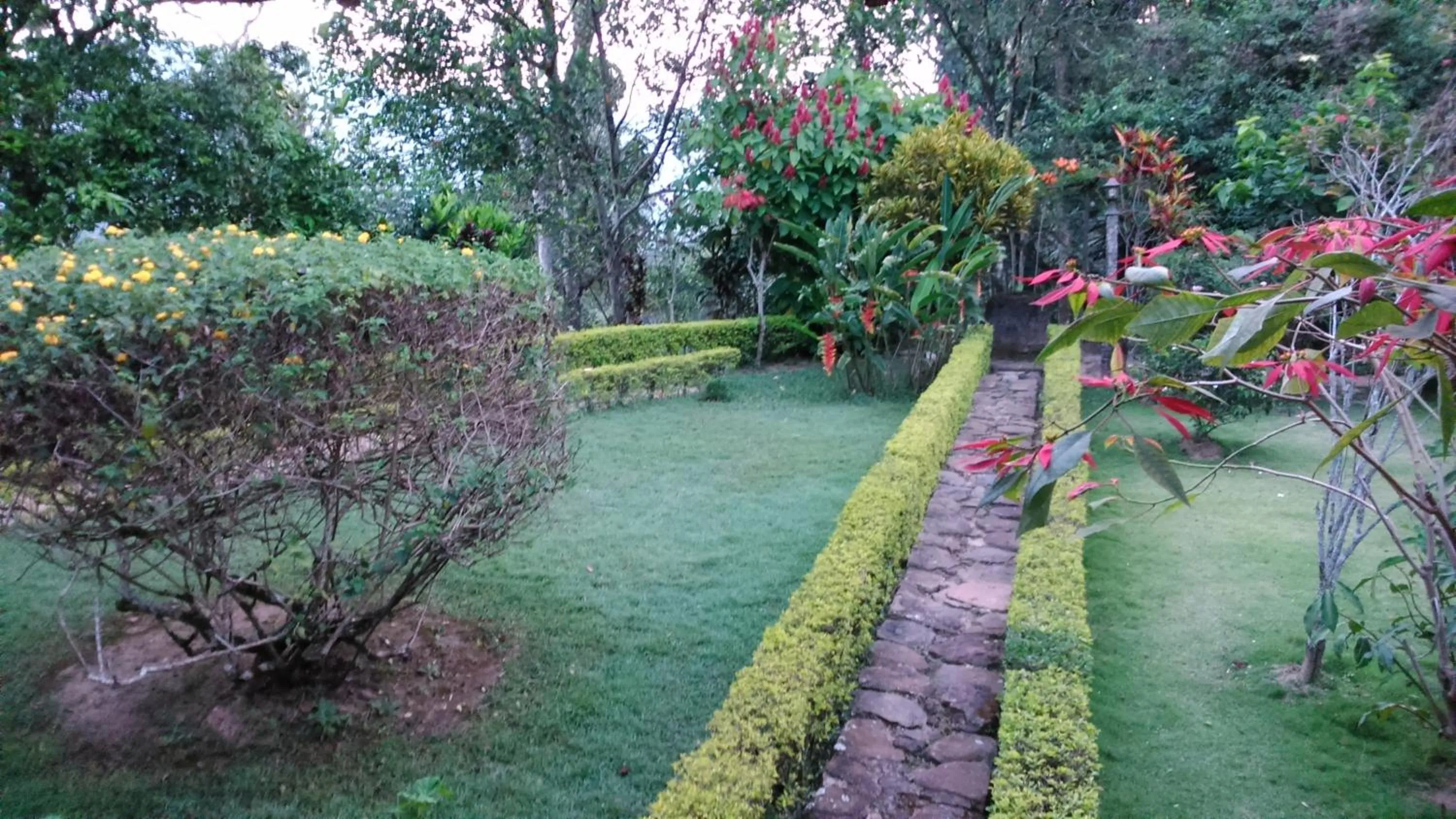 Garden in Sunnyside Holiday Bungalow