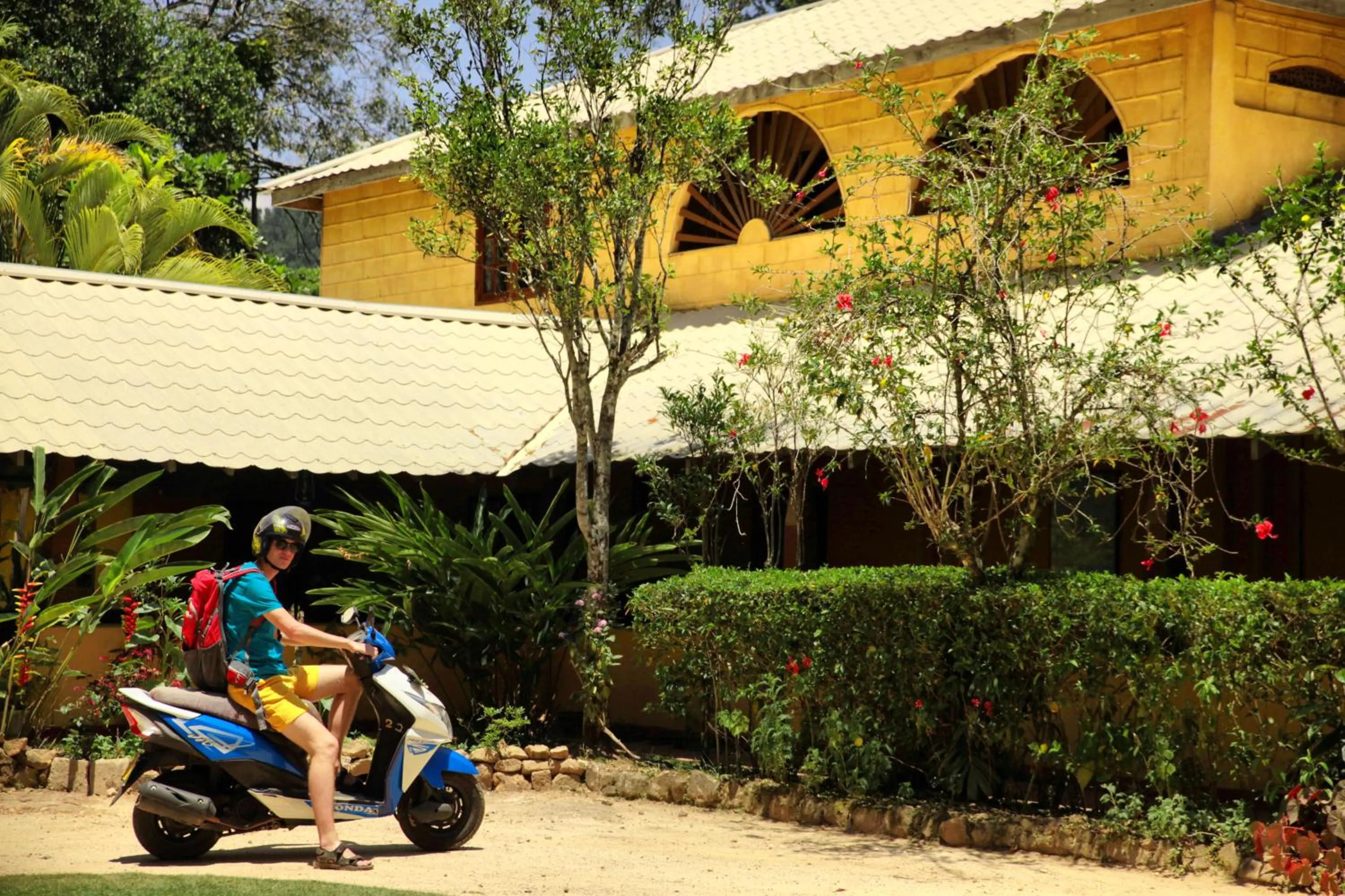 Facade/entrance in Sunnyside Holiday Bungalow