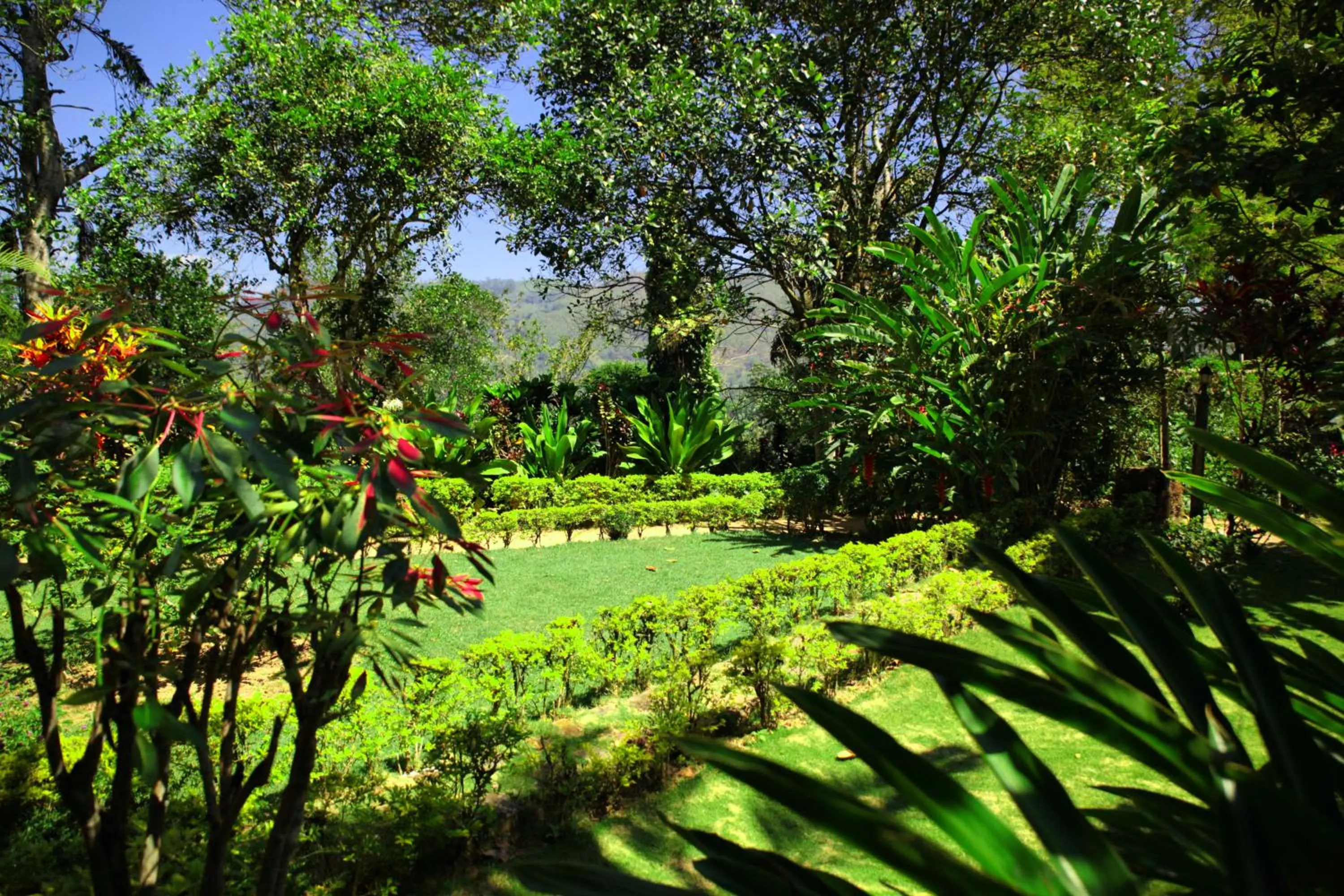 Natural landscape in Sunnyside Holiday Bungalow
