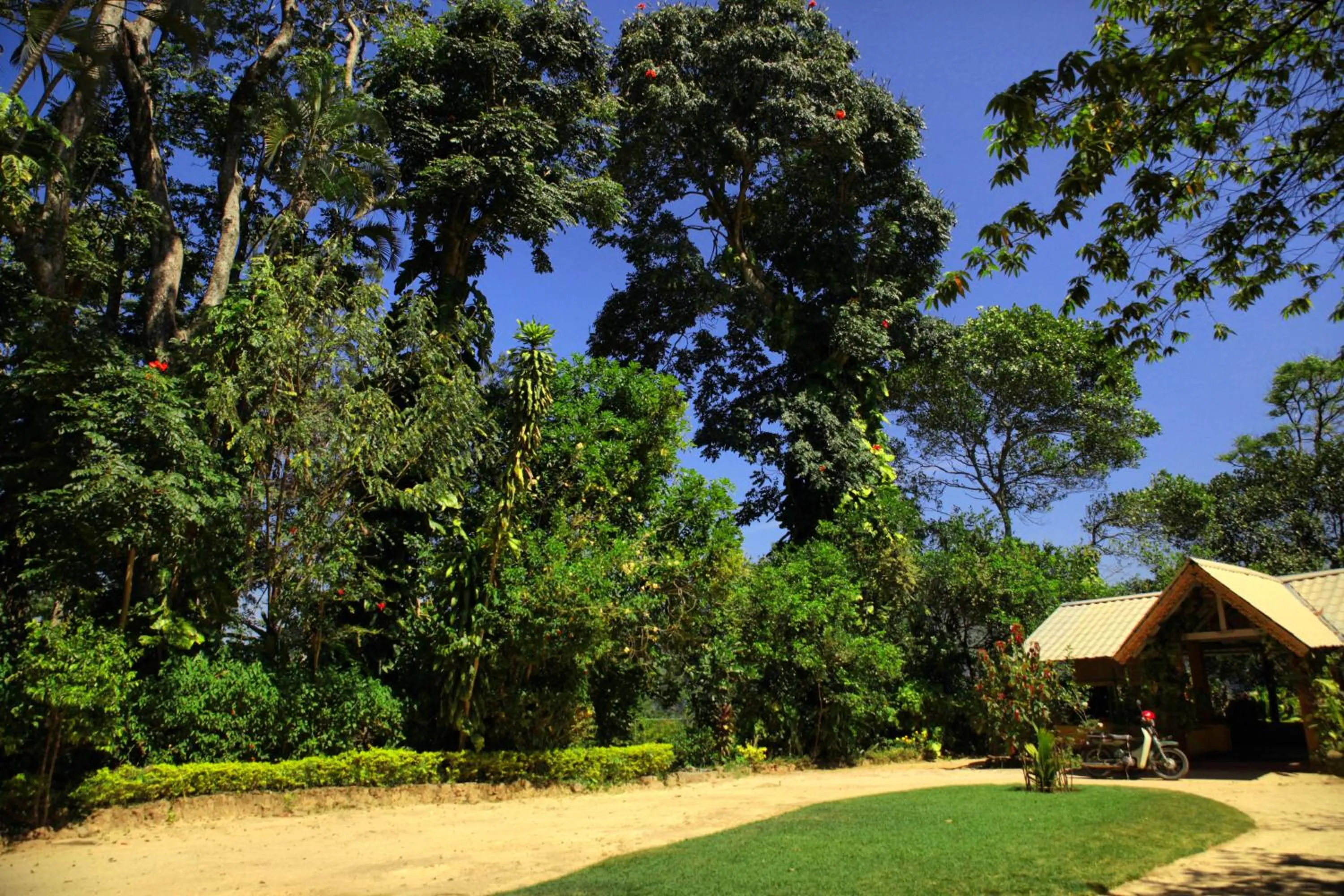 Garden in Sunnyside Holiday Bungalow