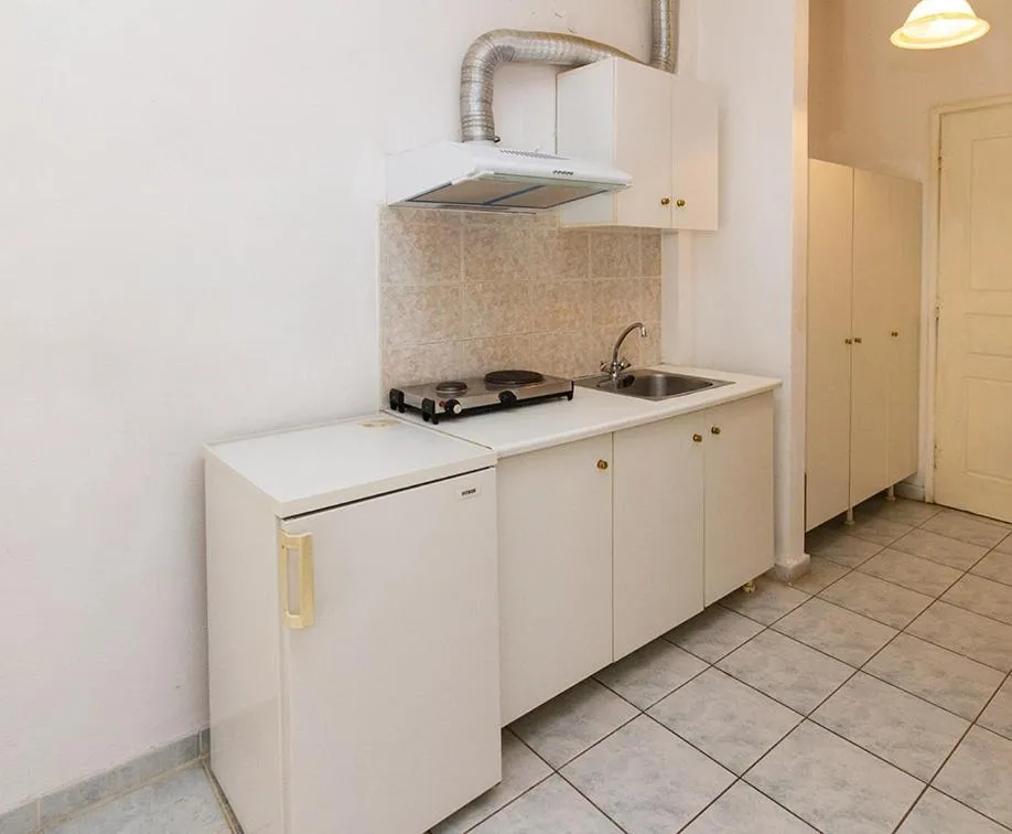 Kitchen or kitchenette in Pagona Hotel