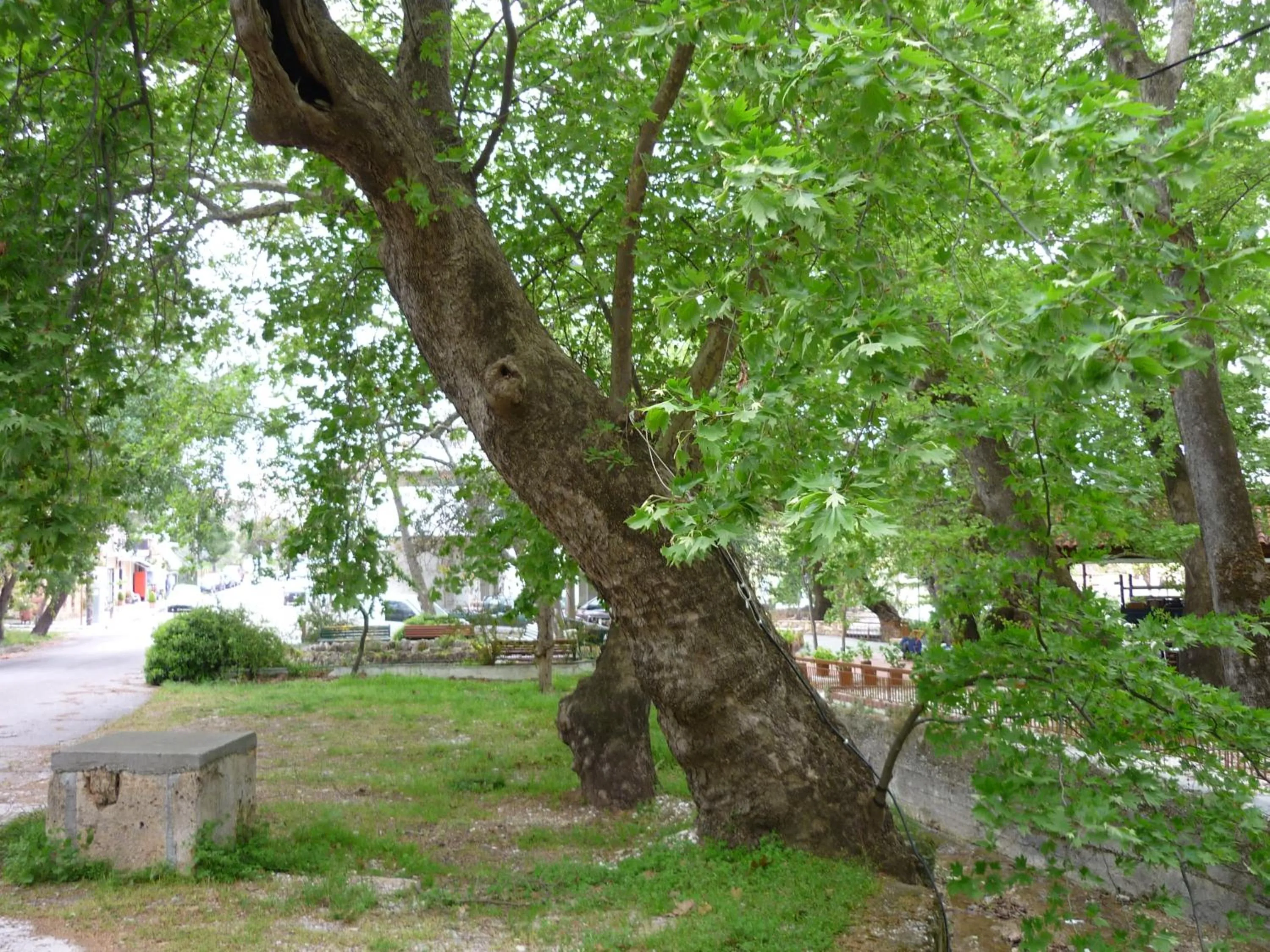 Nearby landmark in Pagona Hotel