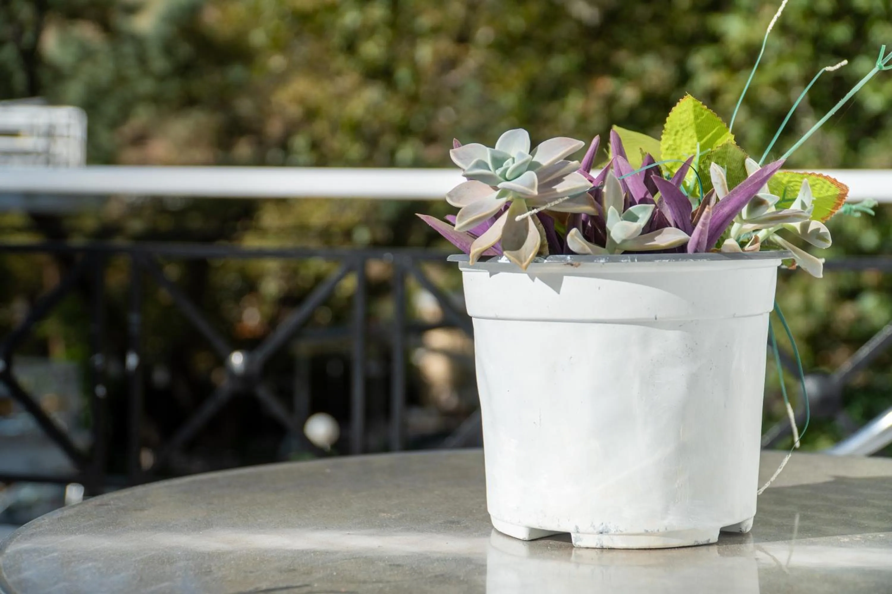 Balcony/Terrace in Pagona Hotel